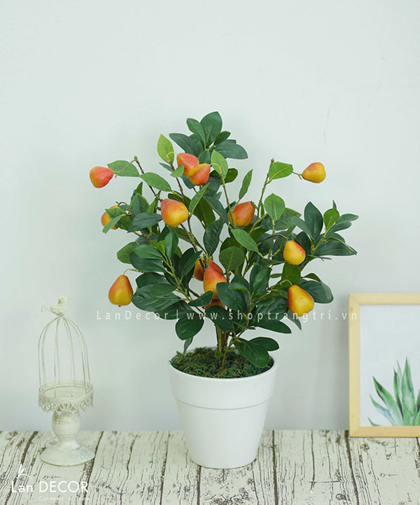 CHẬU CÂY LÊ MÁ ĐÀO TRANG TRÍ NHÀ, BÀN LÀM VIỆC ĐẸP LAN DECOR (80CM)