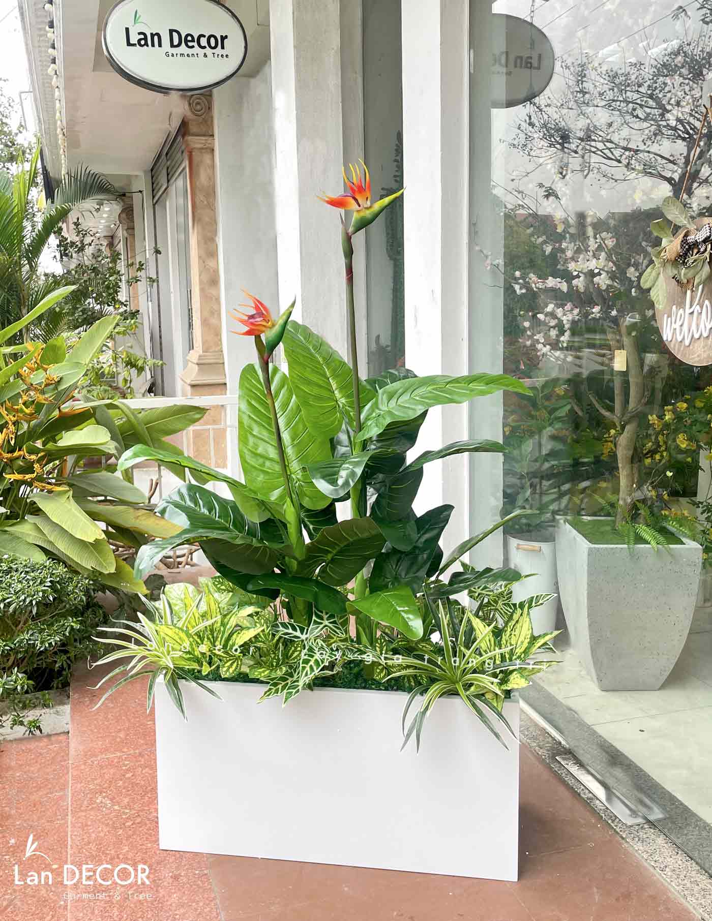 THIẾT KẾ BỒN CÂY THIÊN ĐIỂU TRANG TRÍ CỬA HÀNG ẤN TƯỢNG- CC809