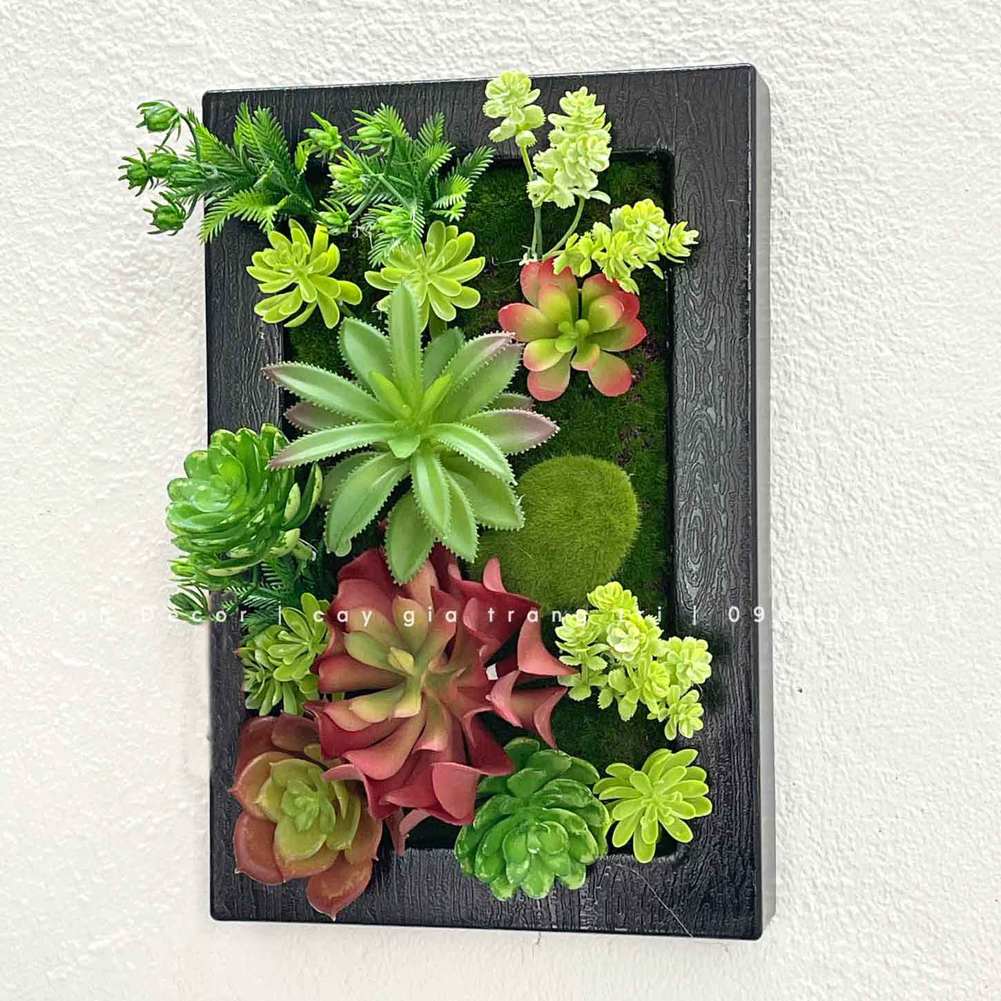 Khung tranh cây, sen đá treo tường độc đáo, tự nhiên Tổng Kho Sỉ Cây ...