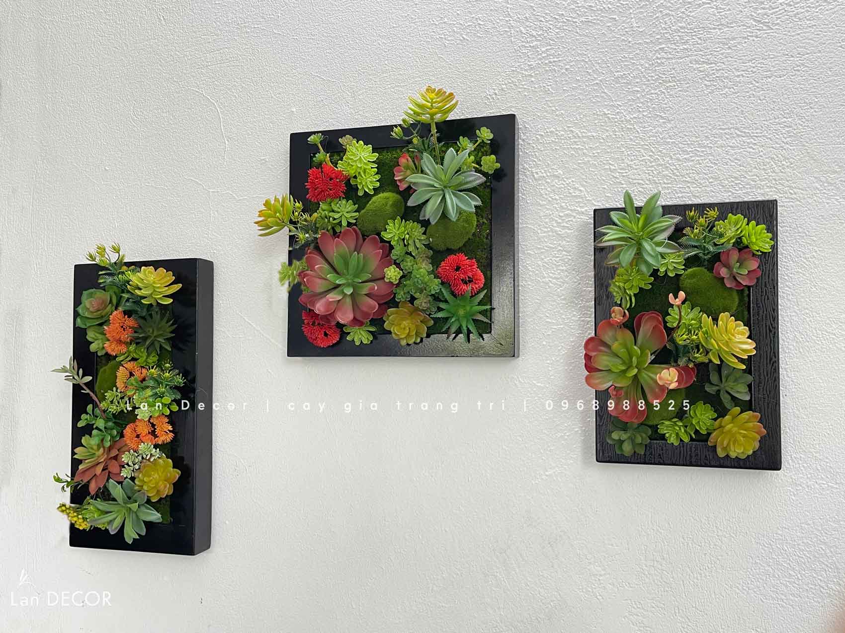 Khung tranh rêu sen đá trang trí độc đáo - KTR013 (20x30) Tổng Kho Sỉ ...