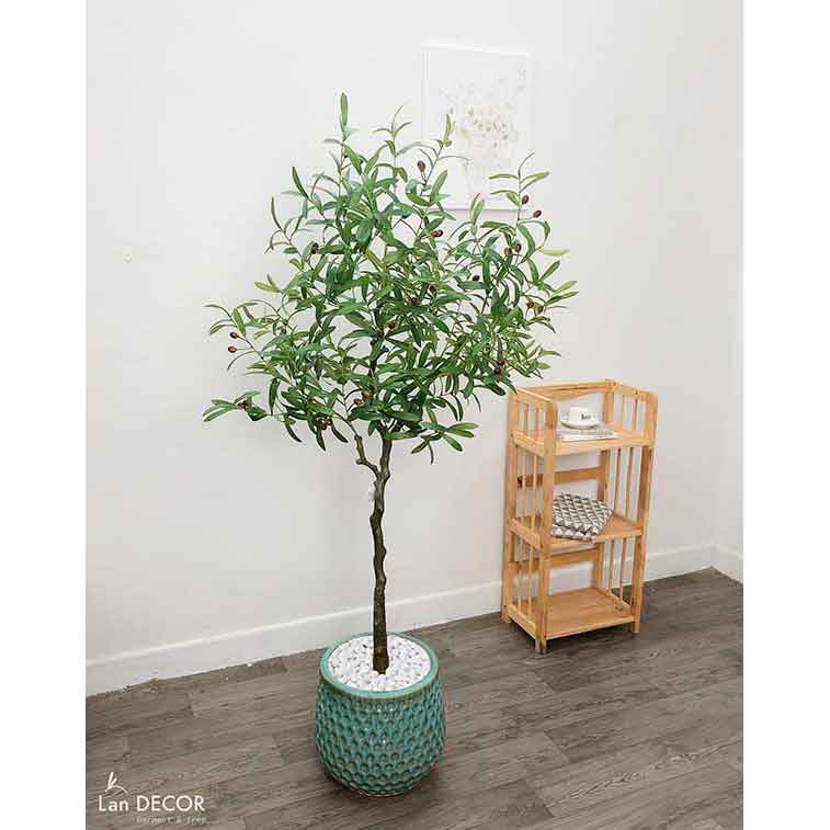 Cây oliu trang trí nội thất LanDecor (1m65) - LC3045