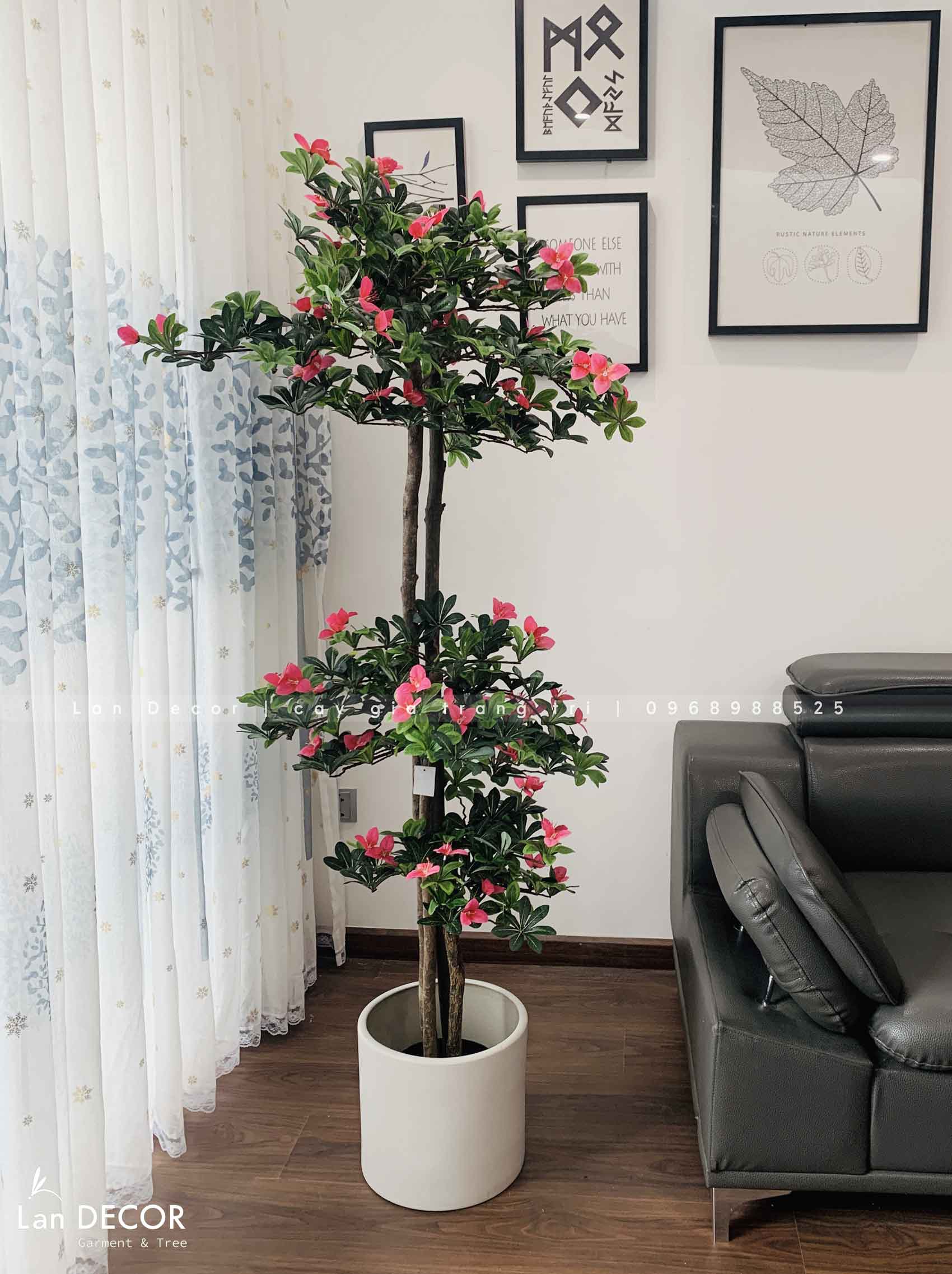 Cây hoa Đỗ Quyên cây cảnh trang trí 165 cm - LC2450