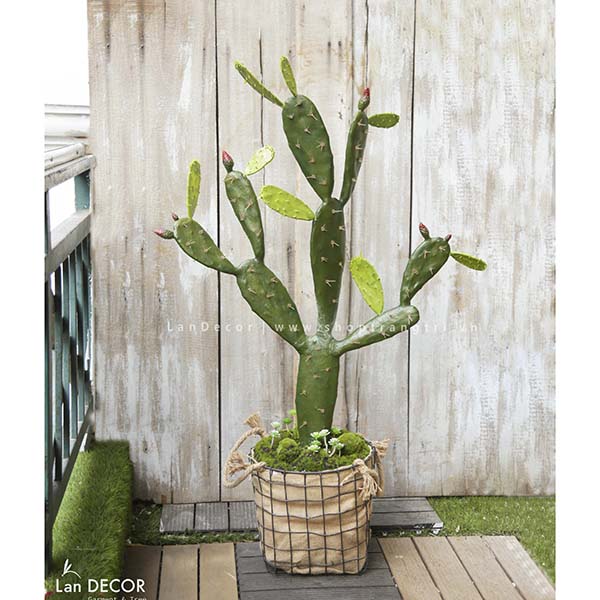 CÂY XƯƠNG RỒNG TAI THỎ TRANG TRÍ ĐẸP LAN DECOR (95cm) - HC1050