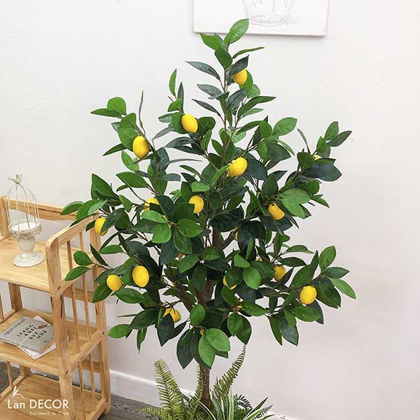 CÂY CHANH VÀNG MIX TRANG TRÍ NỘI THẤT LAN DECOR - CC350