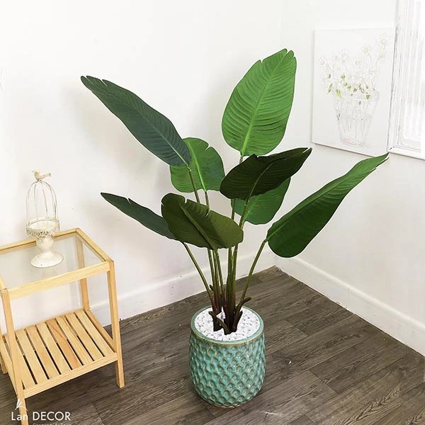 Cây chuối rẻ quạt trang trí phong cách hiện đại 1m2 (gồm 8 lá) - LC3018