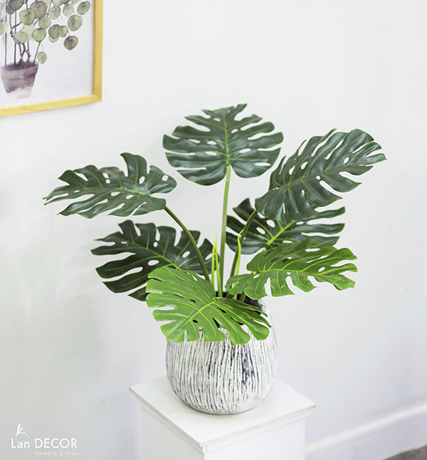 Cây lá xẻ  hiện đại trang trí nhà (65cm) - LC3022