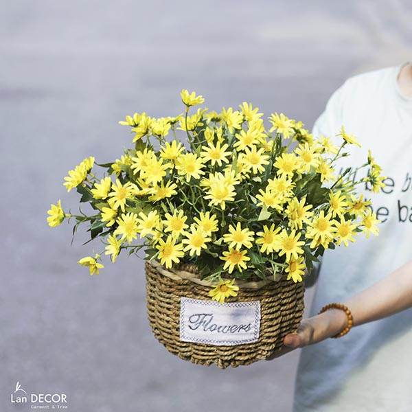 GIỎ CÚC HỌA MI VINTAGE LAN DECOR (TRẮNG/VÀNG) - BH1102