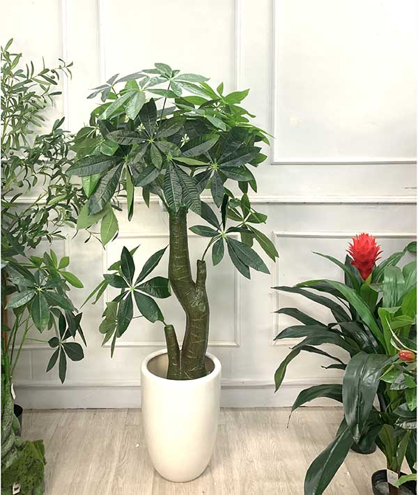 CÂY KIM NGÂN (135cm) - LC1988