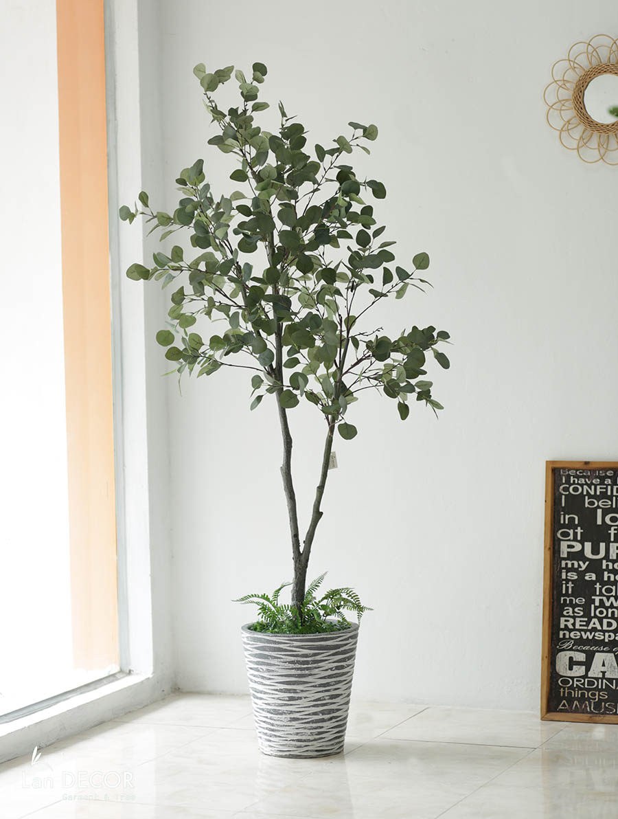 CÂY BẠCH ĐÀN TRANG TRÍ KHÔNG GIAN XANH LAN DECOR (210CM) - LC3033
