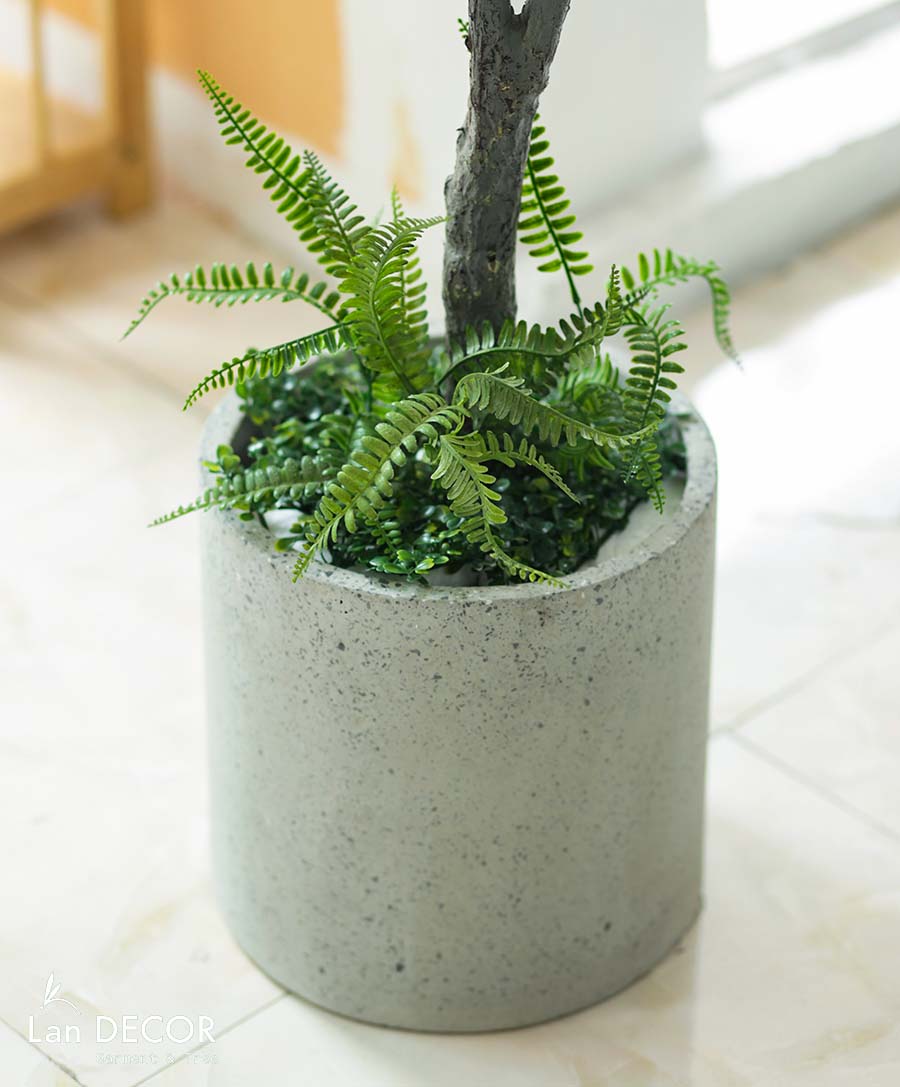 CÂY BẠCH ĐÀN MIX TIỂU CẢNH TRANG TRÍ KHÔNG GIAN XANH LAN DECOR (210CM) - LC3033 mix