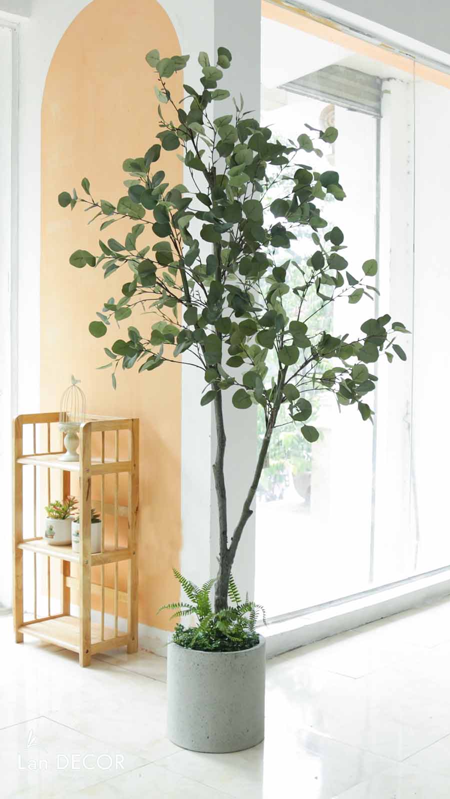 CÂY BẠCH ĐÀN MIX TIỂU CẢNH TRANG TRÍ KHÔNG GIAN XANH LAN DECOR (210CM) - LC3033 mix