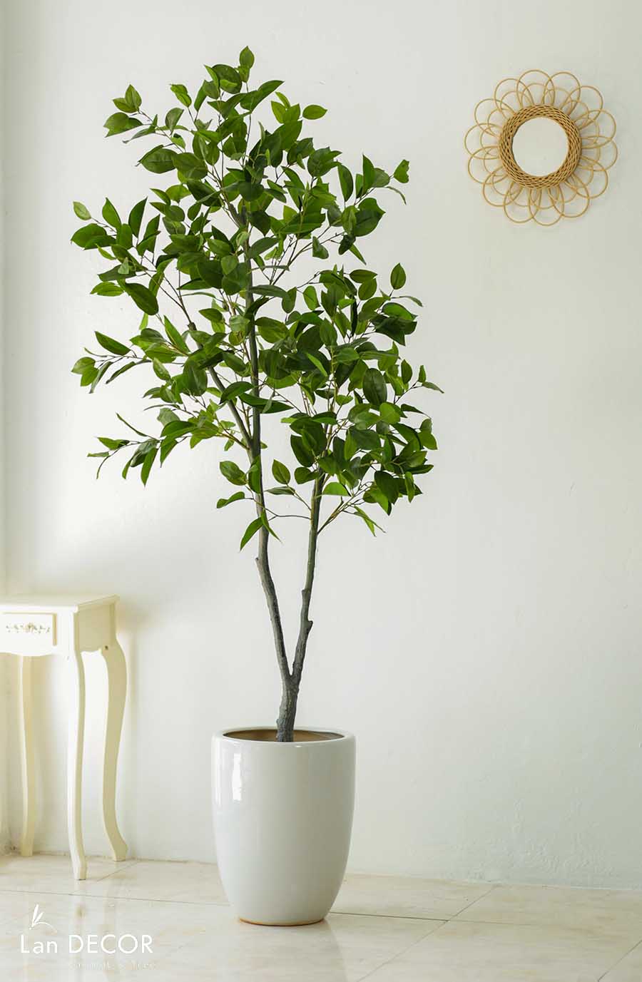 CÂY LÁ MỘC   (210cm) - LC5866