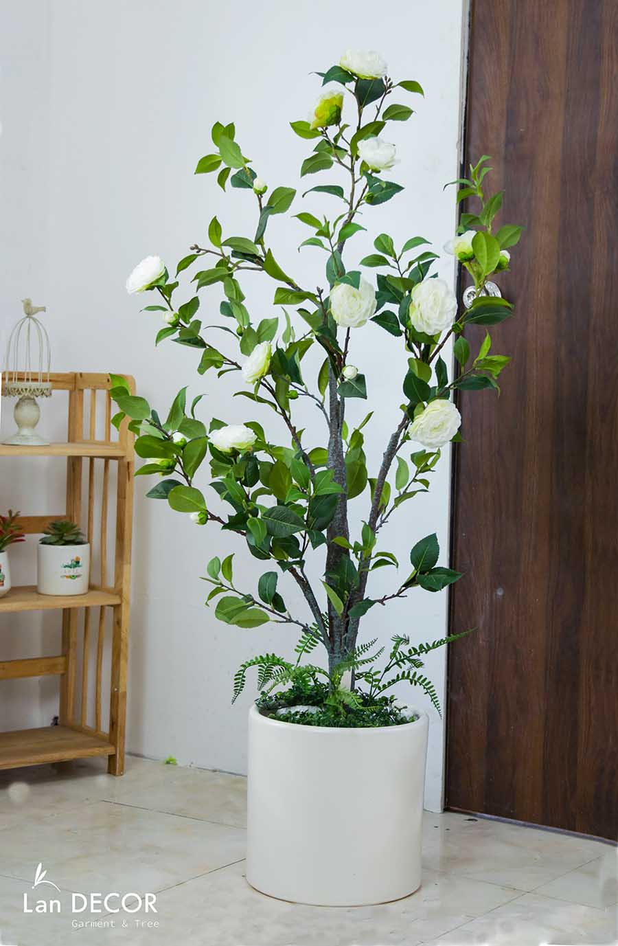 CÂY TRÀ TRẮNG MIX TIỂU CẢNH TRANG TRÍ PHONG CÁCH HIỆN ĐẠI (1M4) - LC3012 mix