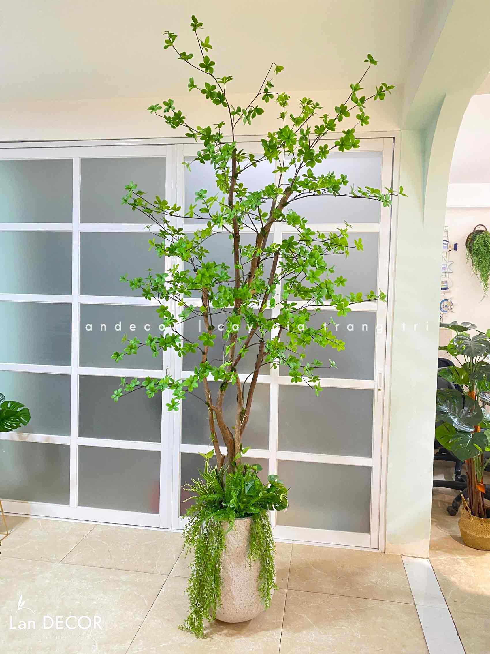 Cành Lá Giả Decor, Cành Thạch Nam Nhật Bản Trang Trí Nhà Đẹp - HC996