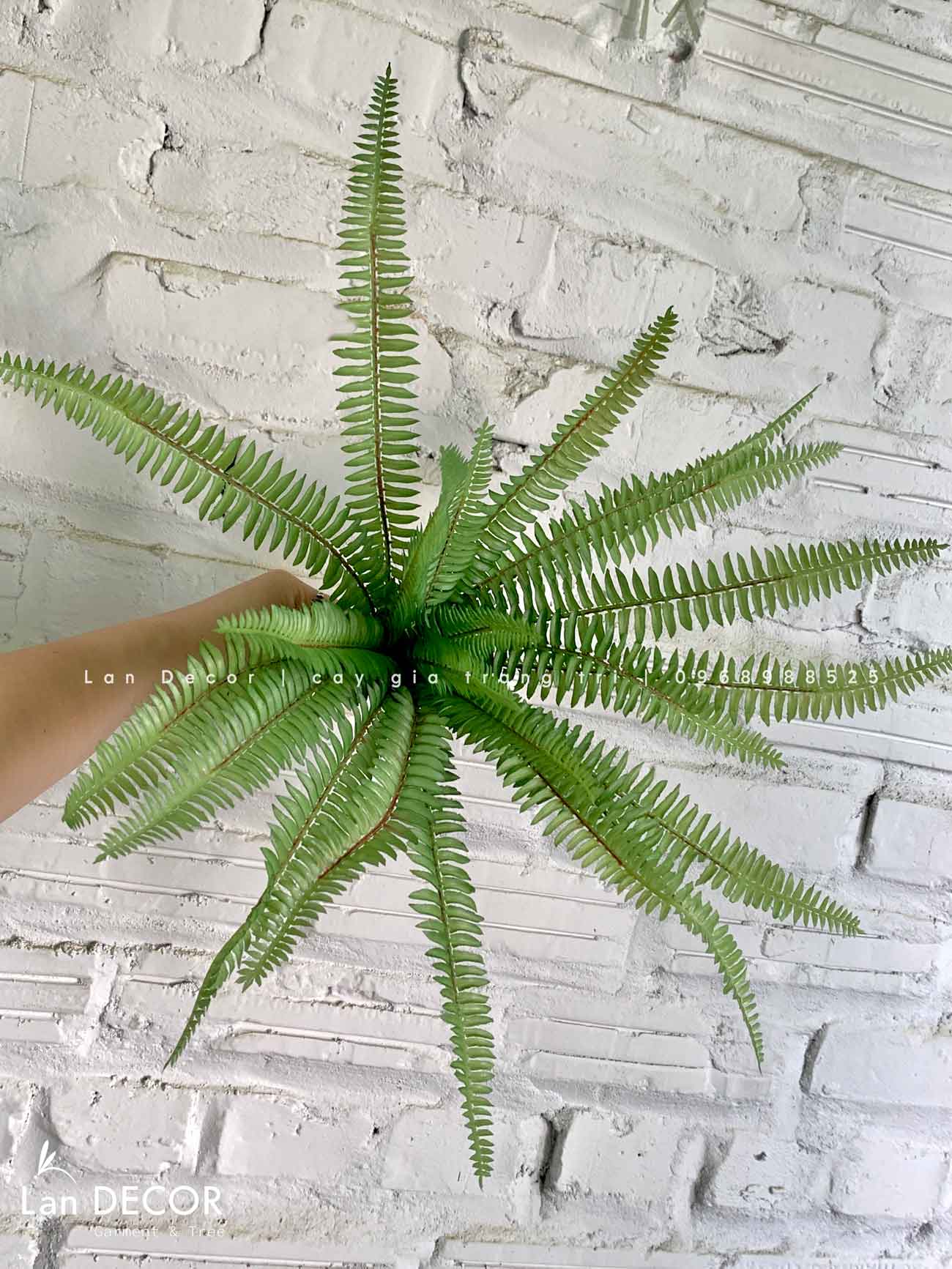 Cành Lá Giả- Cành Dương Xỉ Gân Trang Trí Tiểu Cảnh (40cm)- HC1134