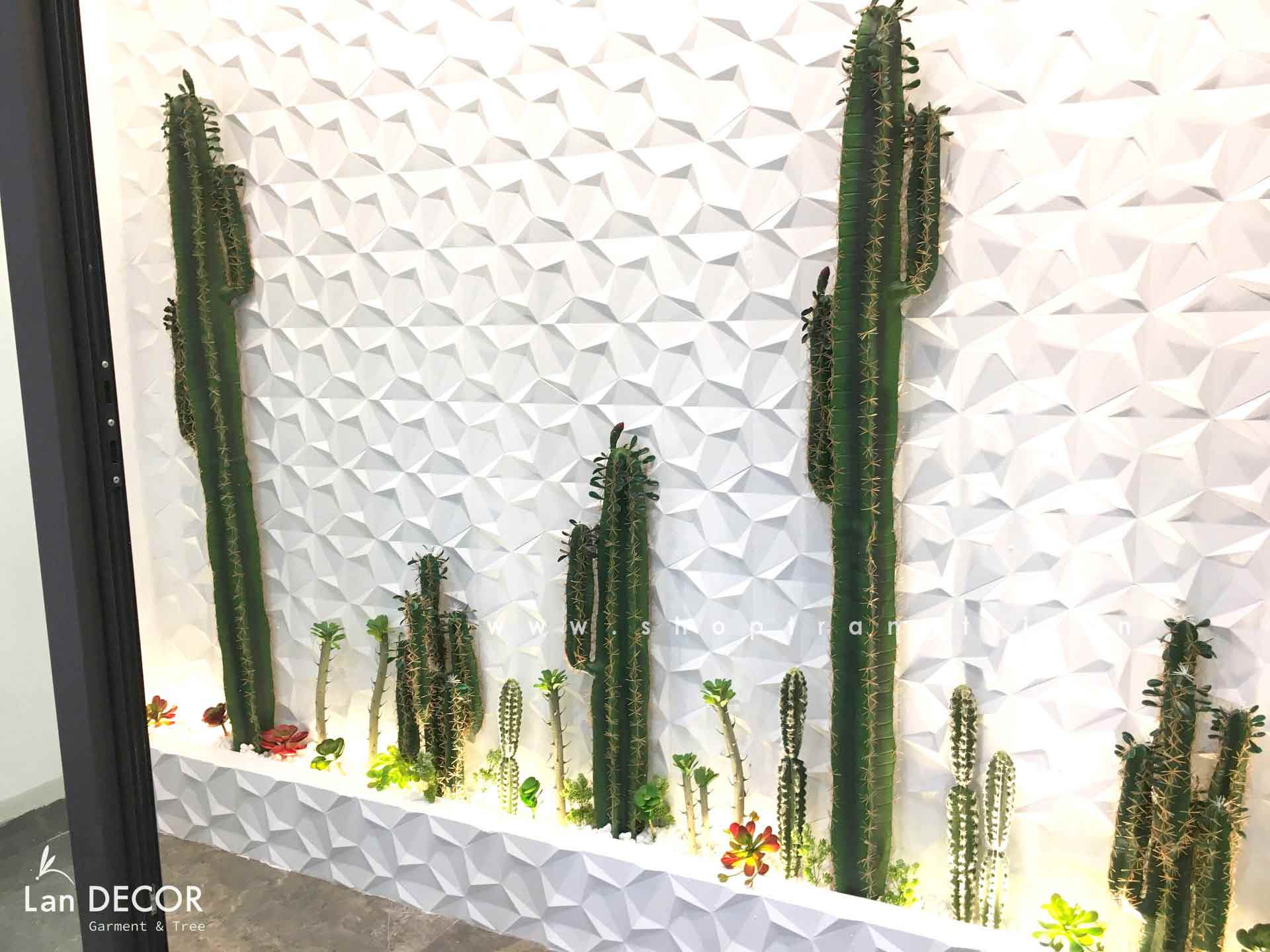 CONCEPT XƯƠNG RỒNG TIỂU CẢNH DECOR NÂNG TẦM ĐẲNG CẤP