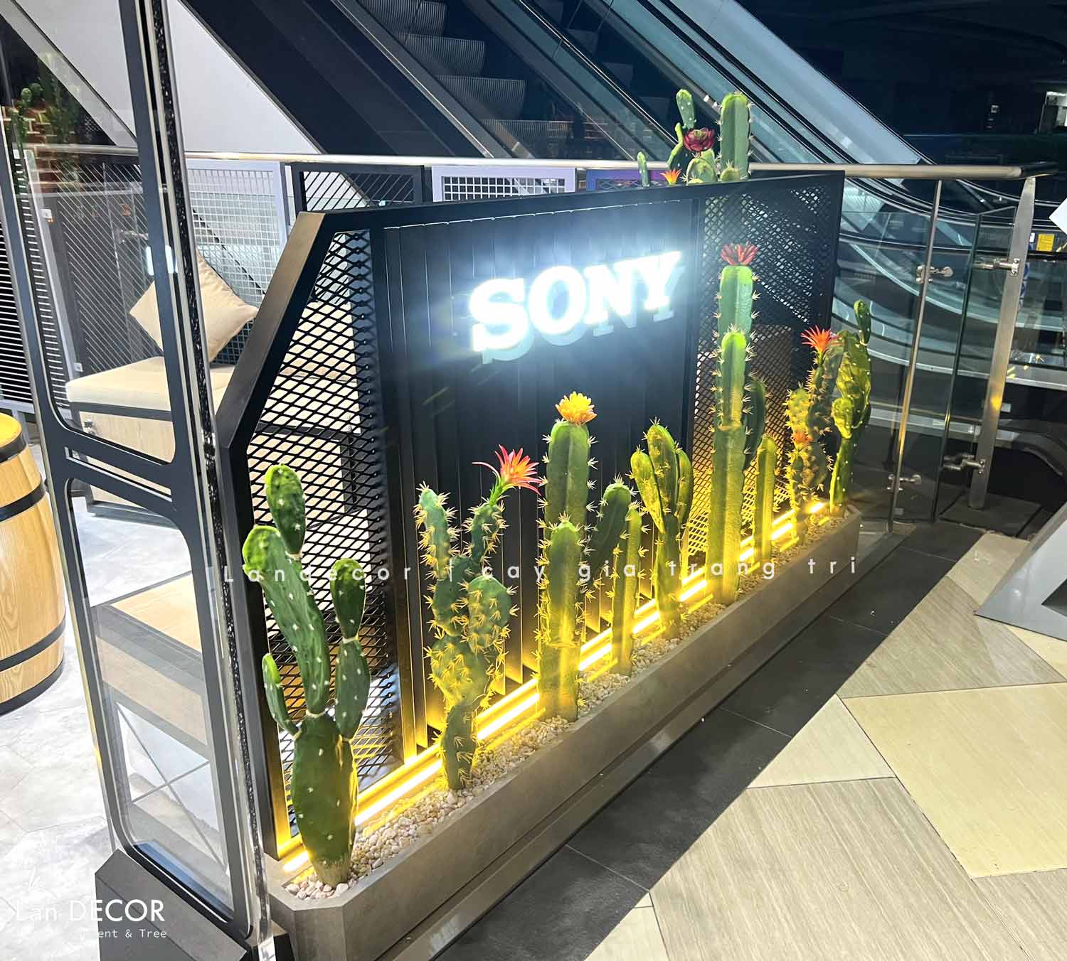 CONCEPT XƯƠNG RỒNG TIỂU CẢNH DECOR NÂNG TẦM ĐẲNG CẤP