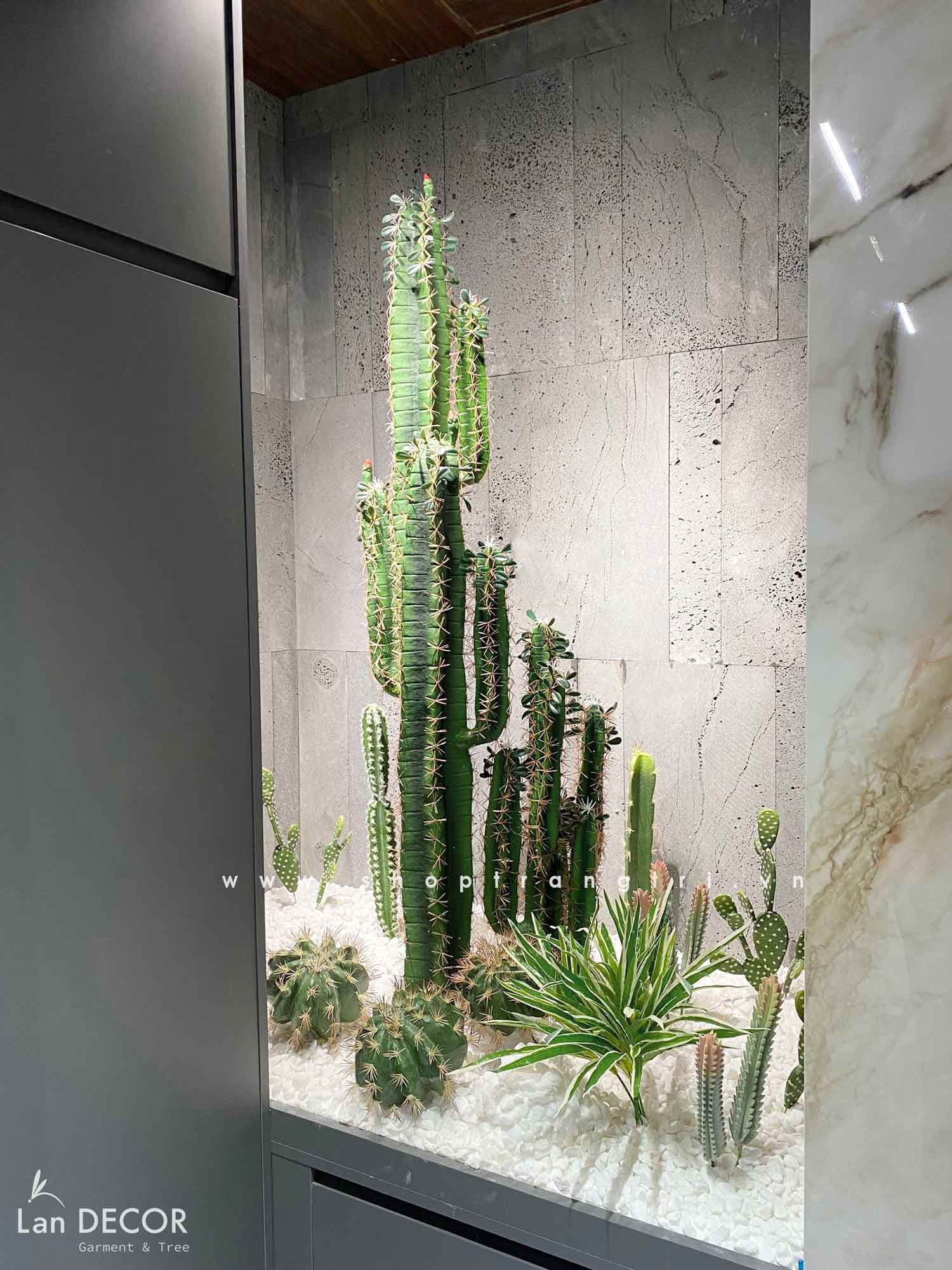 CONCEPT XƯƠNG RỒNG TIỂU CẢNH DECOR NÂNG TẦM ĐẲNG CẤP