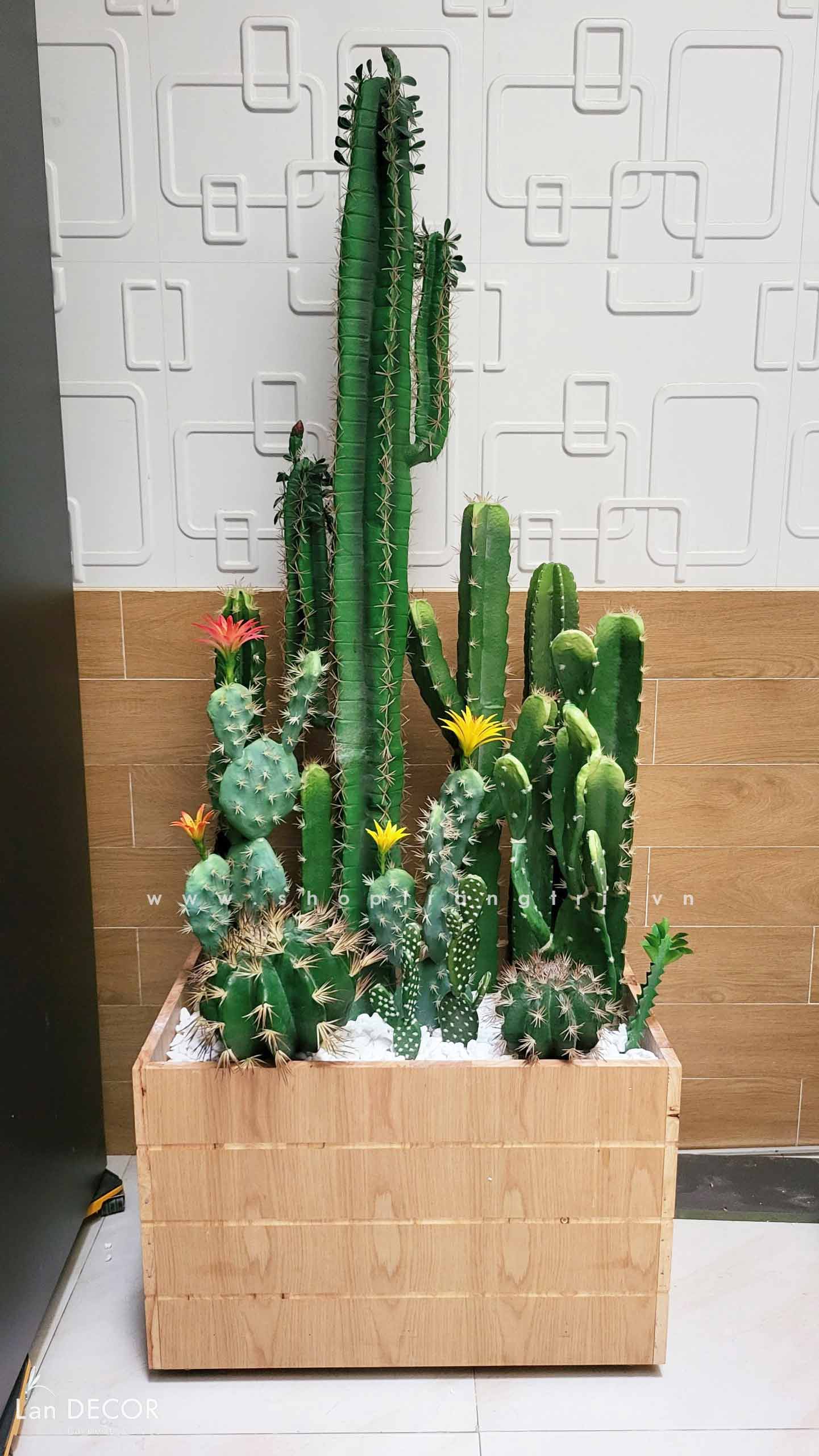 CONCEPT XƯƠNG RỒNG TIỂU CẢNH DECOR NÂNG TẦM ĐẲNG CẤP