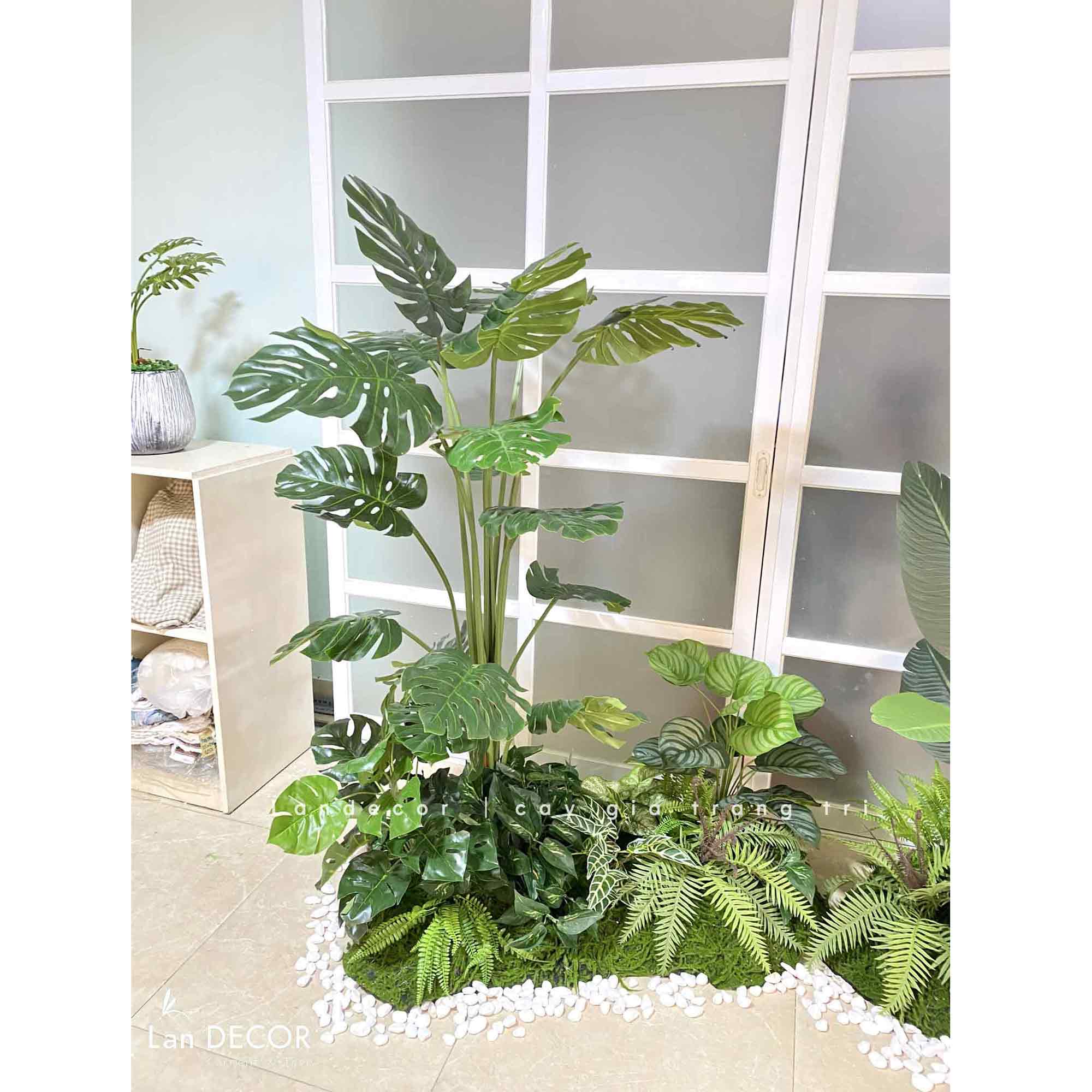 BỒN RÊU MONSTERA MIX TIỂU CẢNH TRANG TRÍ (100x50cm)- RC025