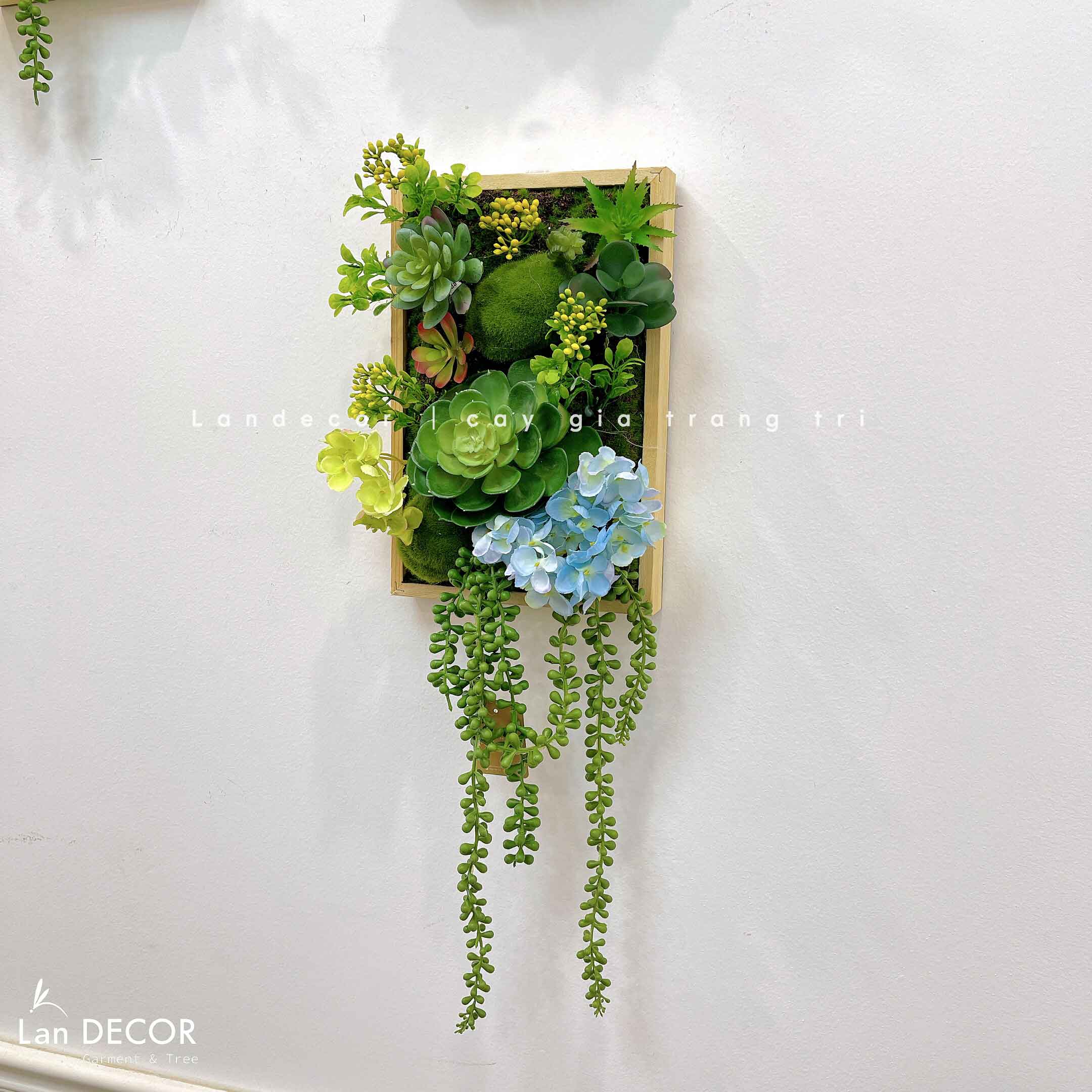 Khung tranh rêu sen đá trang trí nhà đẹp - KTR08(20X30) Tổng Kho Sỉ Cây ...