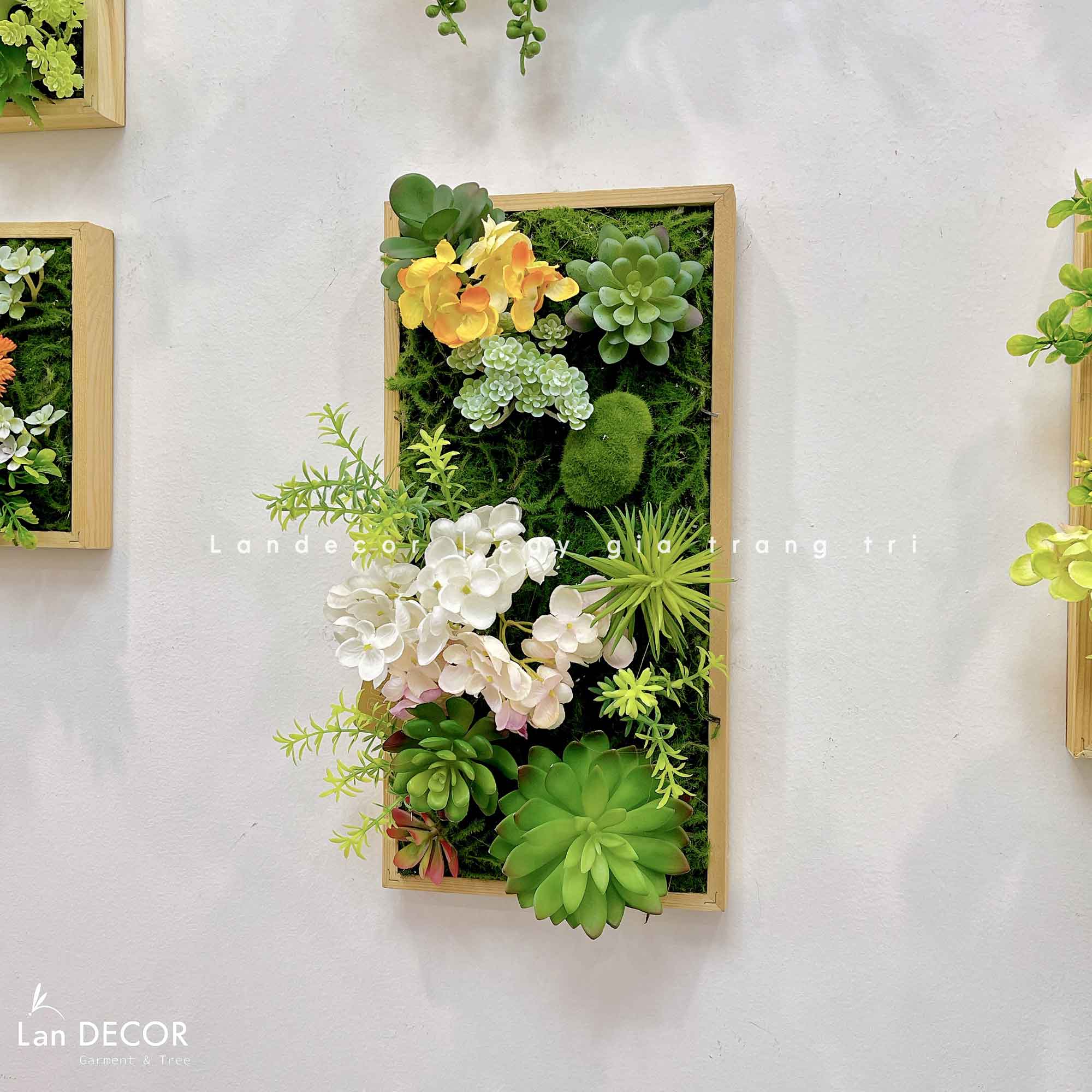 Khung tranh rêu sen đá trang trí hiện đại, độc đáo - KTR07(20x40) Tổng ...