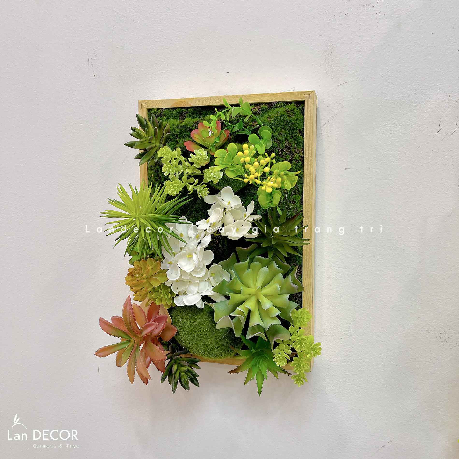 Khung tranh rêu sen đá trang trí nhà đẹp - KTR08(20X30)