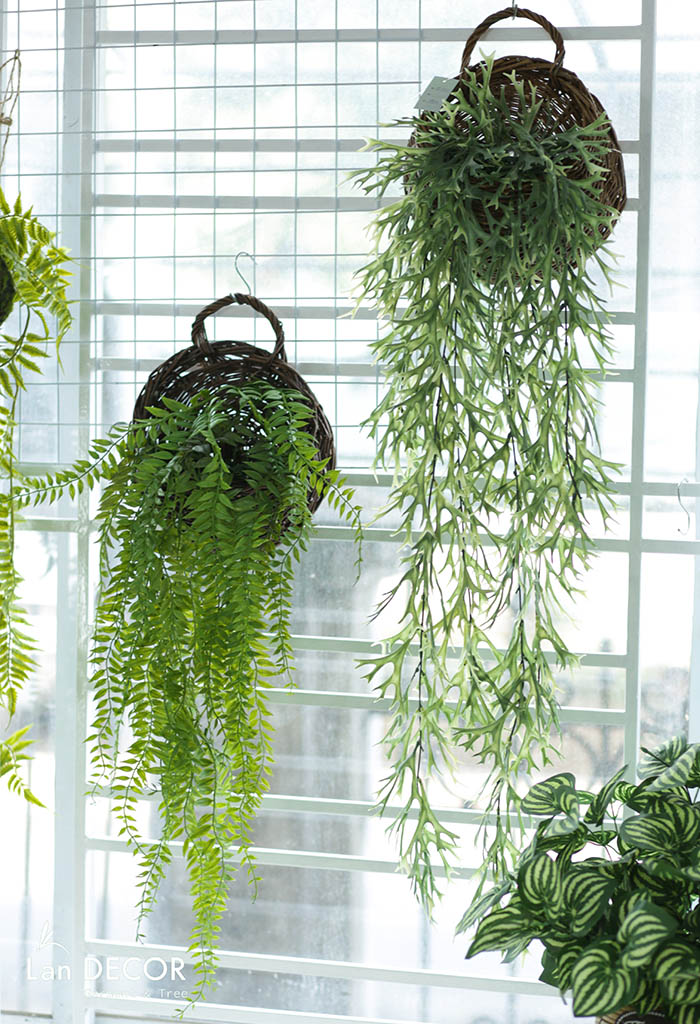 Giỏ dương xỉ rủ trang trí nhà đẹp Lan Decor - CC205.1