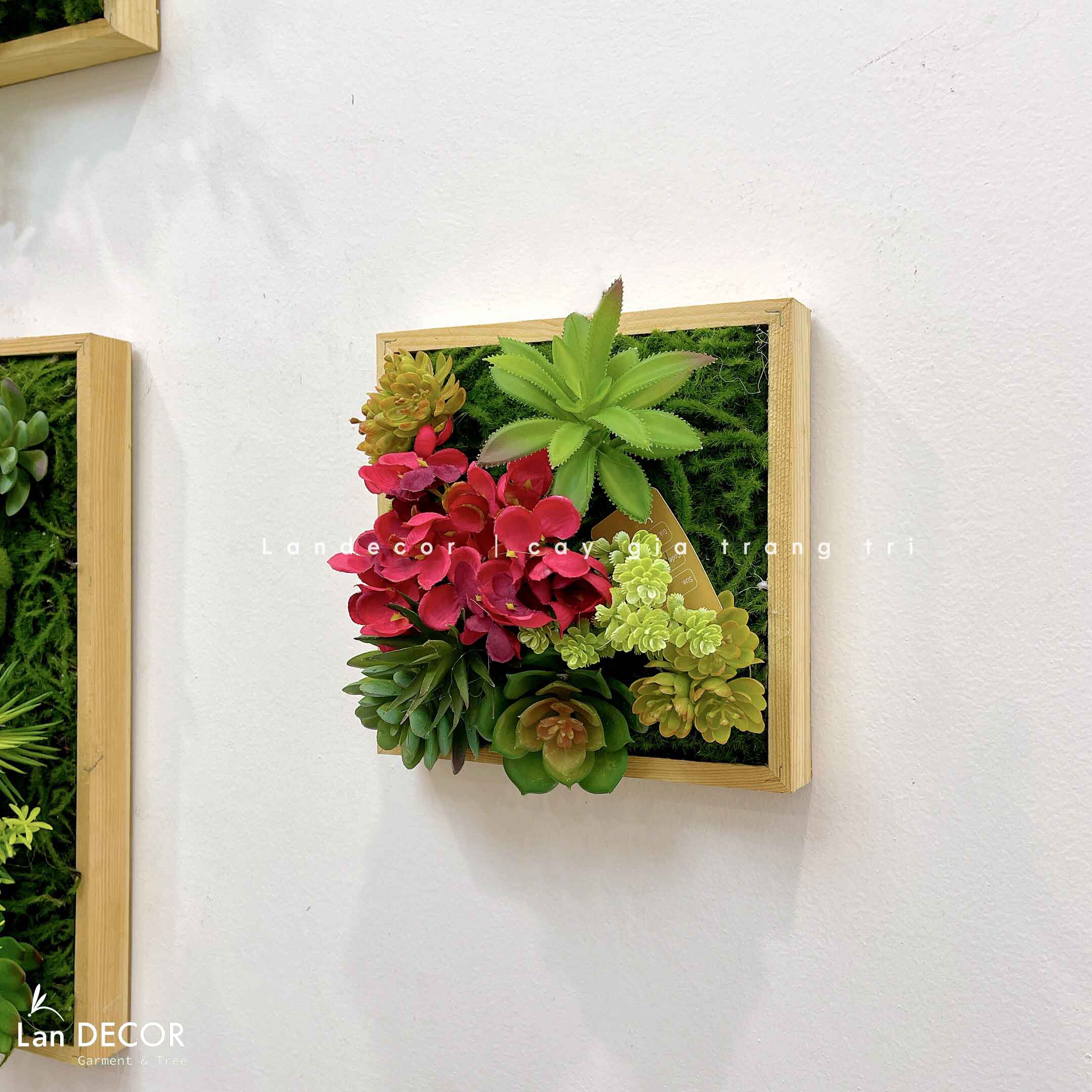 KHUNG TRANH RÊU SEN ĐÁ TRANG TRÍ LAN DECOR (20*20)- KTR06 Tổng Kho Sỉ ...