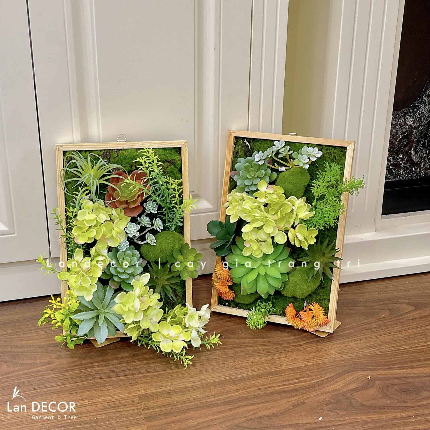 Khung tranh rêu sen đá trang trí nhà đẹp - KTR08(20X30)