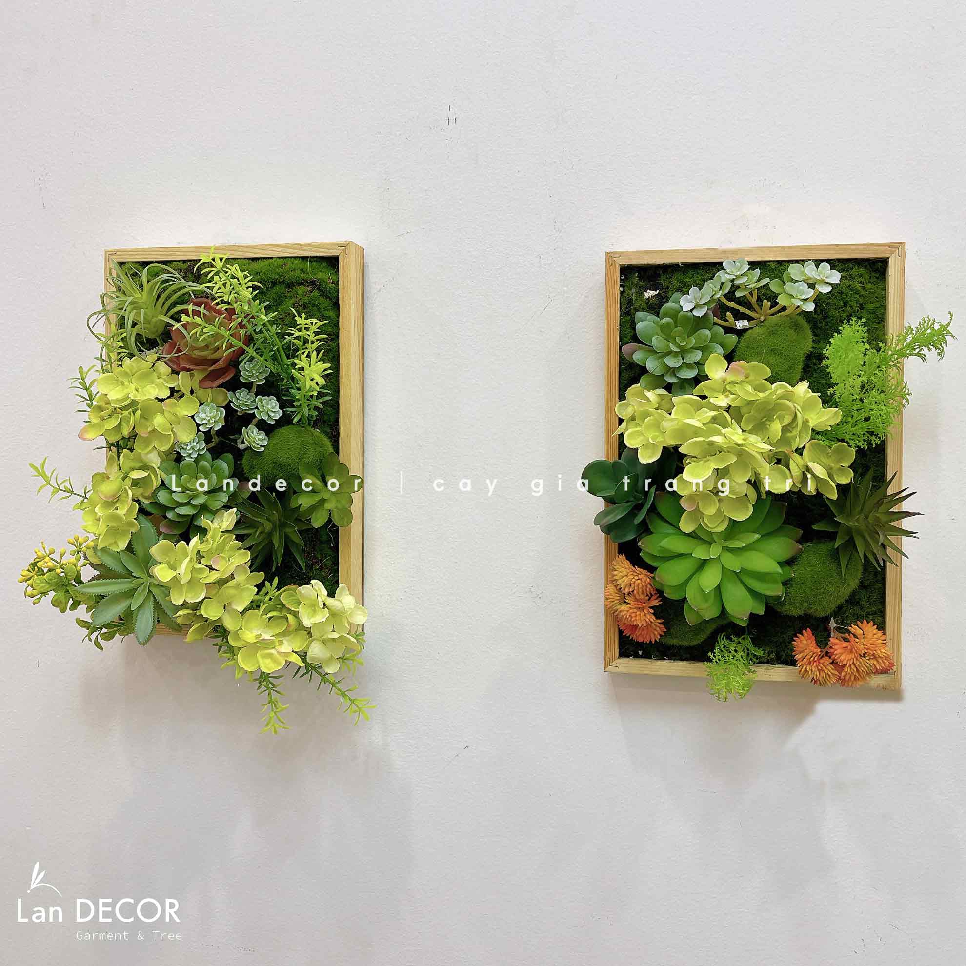 Khung tranh rêu sen đá trang trí nhà đẹp - KTR08(20X30)