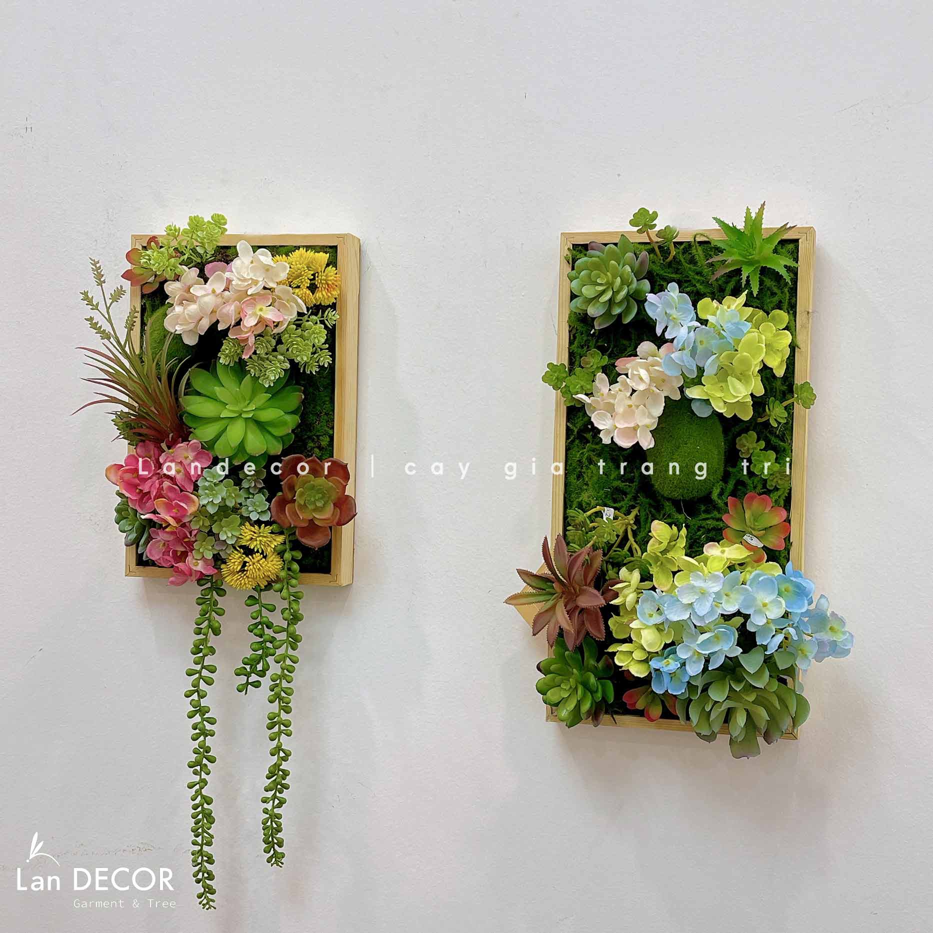 Khung tranh rêu sen đá trang trí hiện đại, độc đáo - KTR07(20x40)