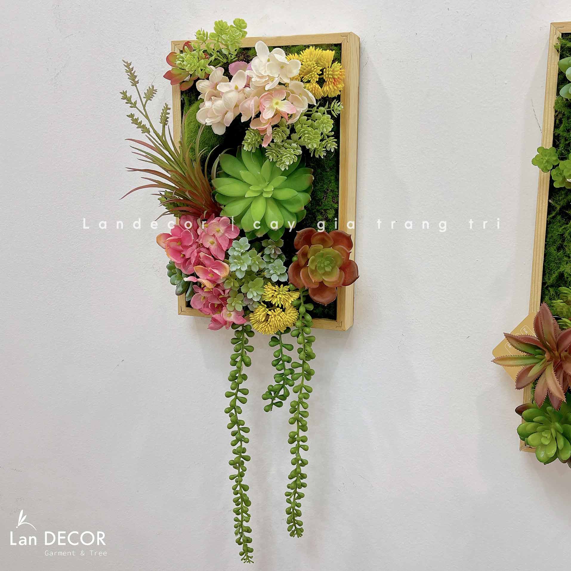 Khung tranh rêu sen đá trang trí nhà đẹp - KTR08(20X30) Tổng Kho Sỉ Cây ...