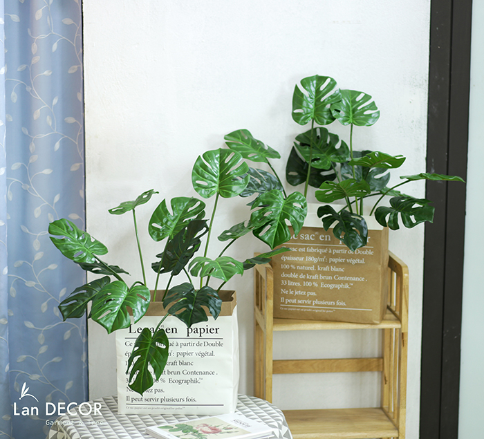 Hộp giấy Monstera trang trí Landecor - CC369.3