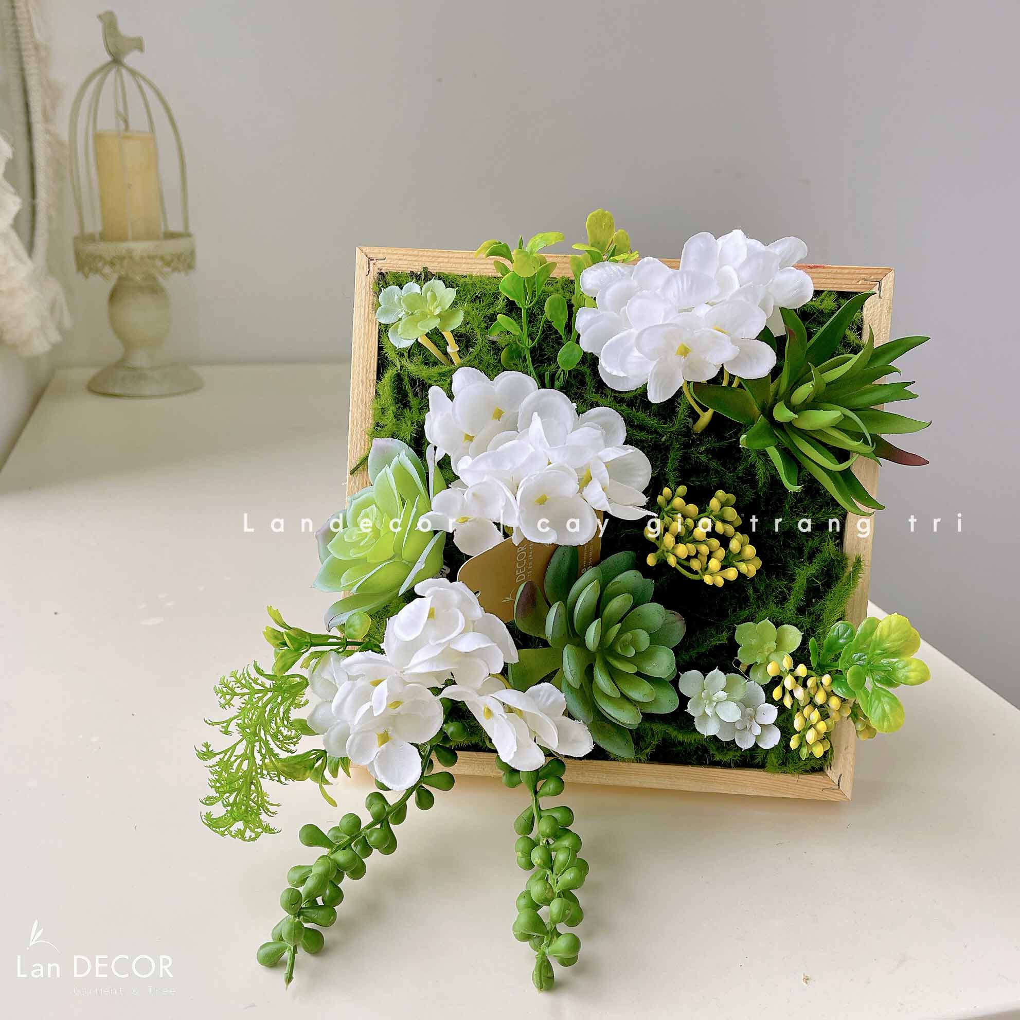 KHUNG TRANH RÊU SEN ĐÁ TRANG TRÍ LAN DECOR (20*20)- KTR06