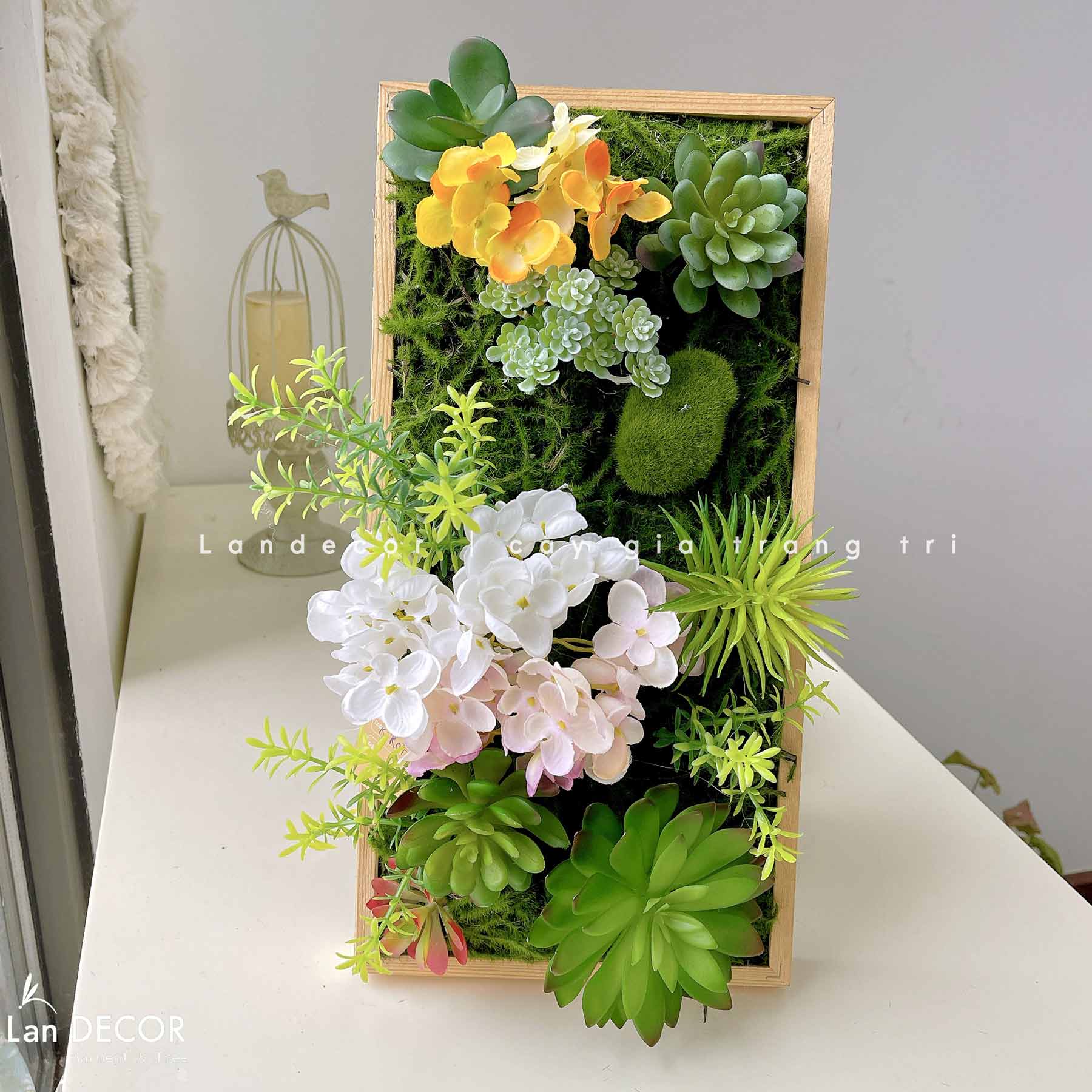 TỔNG HỢP CÁC MẪU KHUNG TRANH CÂY, SEN ĐÁ TREO TƯỜNG ĐỘC ĐÁO, TỰ NHIÊN