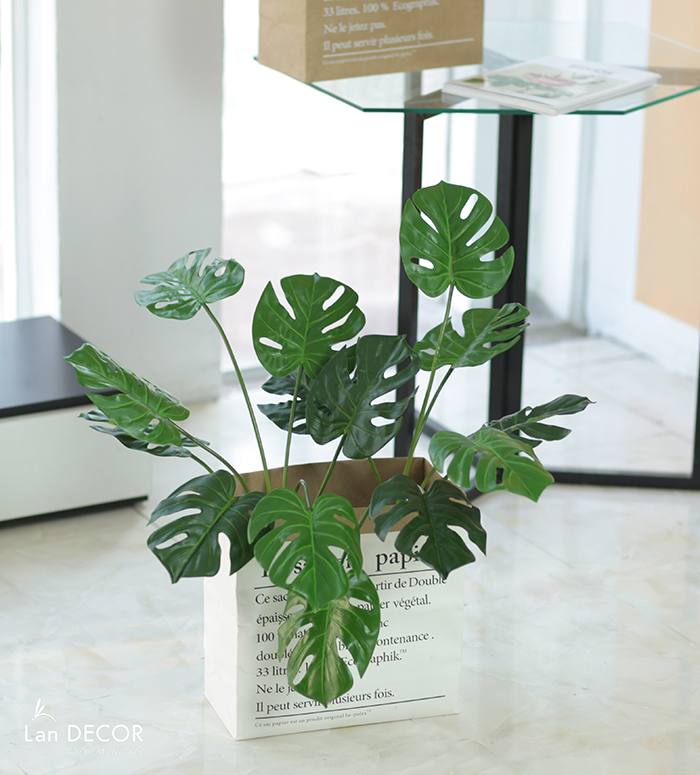 Hộp giấy Monstera trang trí Landecor - CC369.3