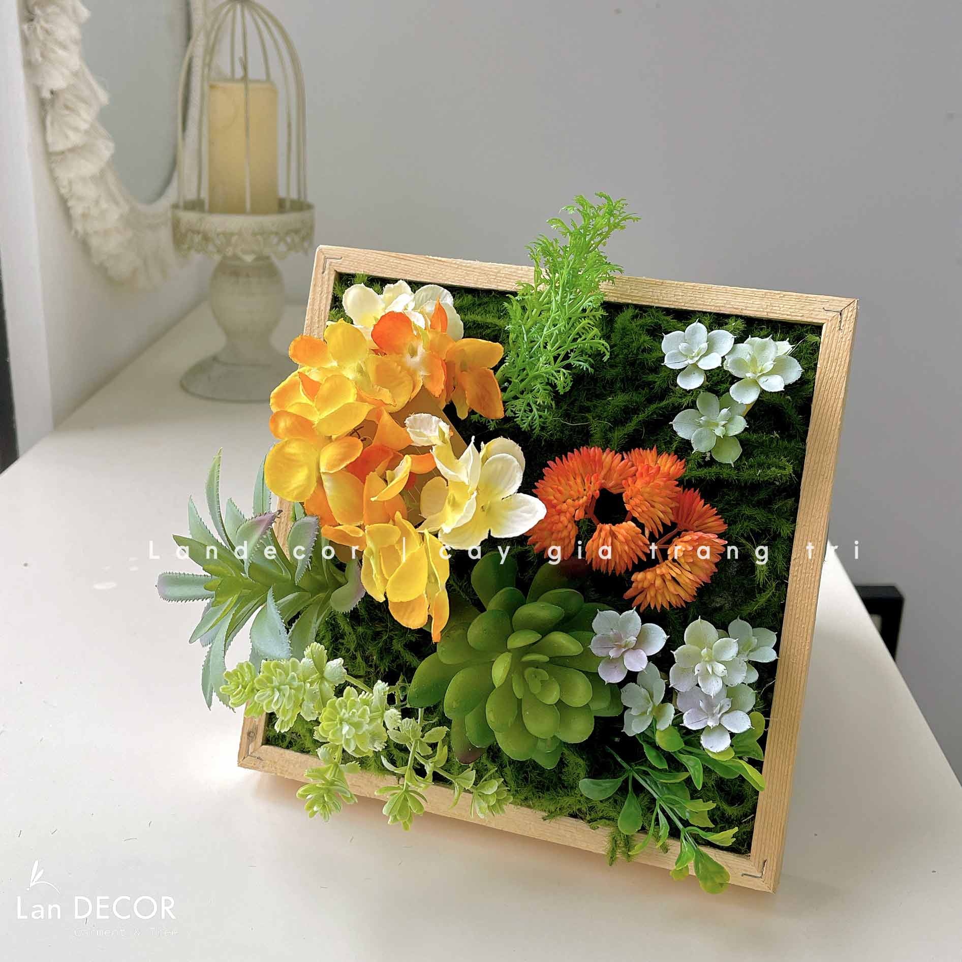 KHUNG TRANH RÊU SEN ĐÁ TRANG TRÍ LAN DECOR (20*20)- KTR06 Tổng Kho Sỉ ...