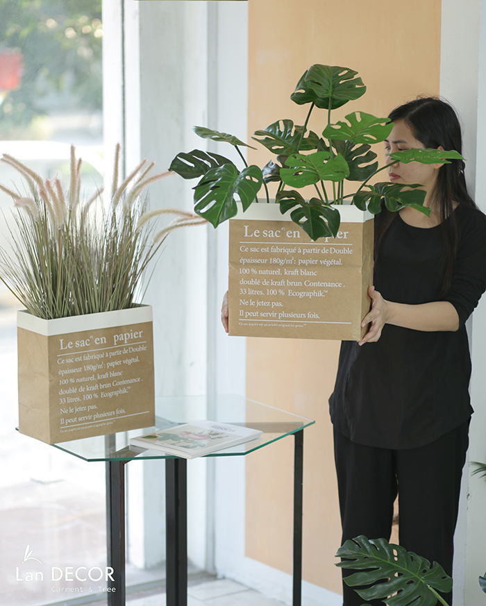 Hộp giấy Monstera trang trí Landecor - CC369.3