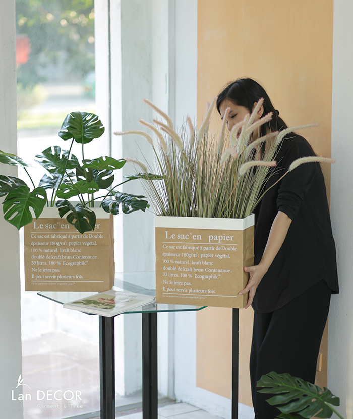 Cỏ đuôi chồn mix hộp giấy Vintage trang trí - CC369