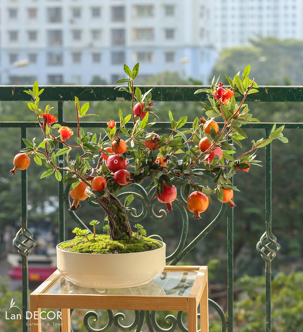 Chậu lựu bonsai để bàn trang trí Landecor -CC386-1