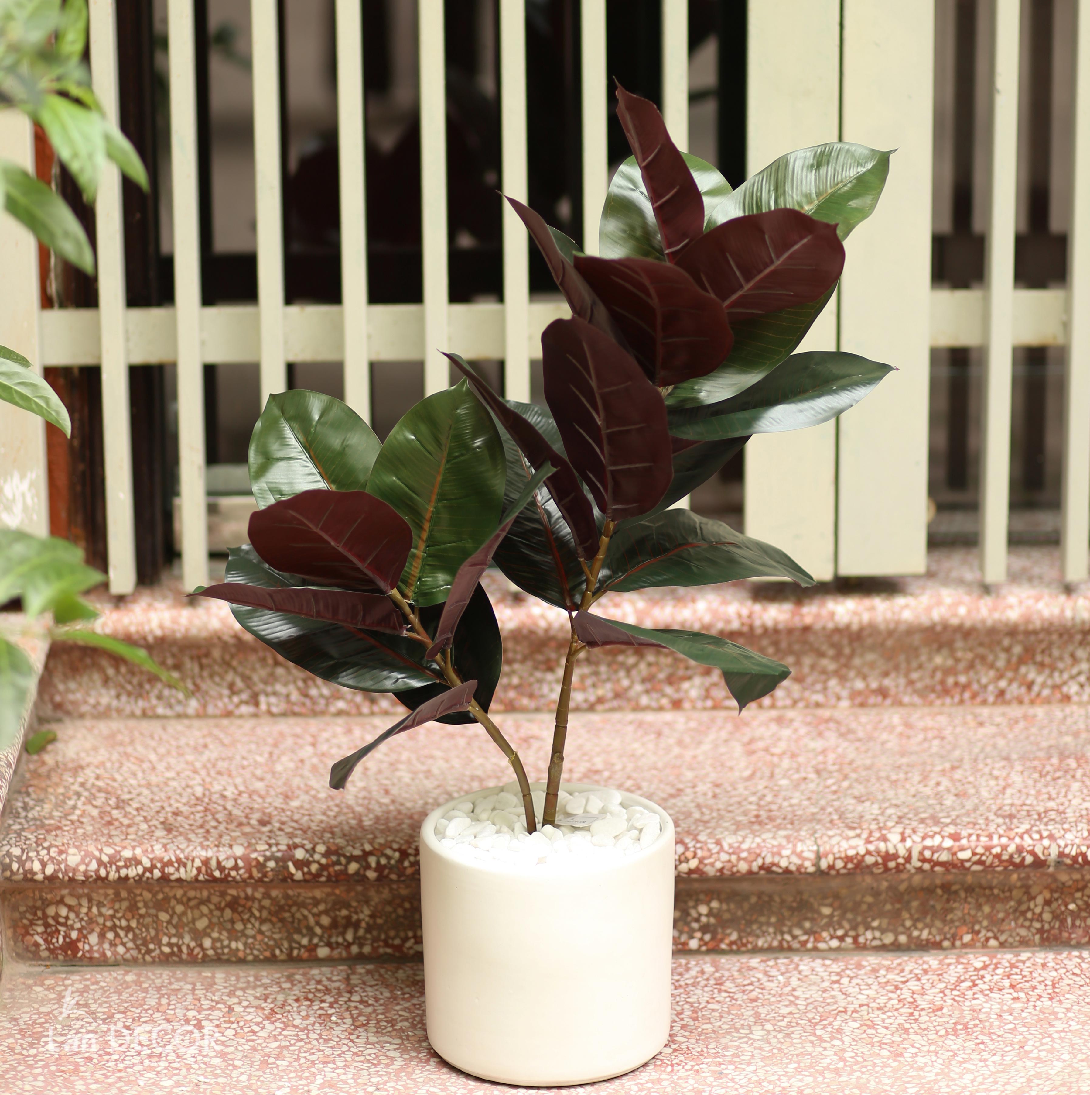 BG119 - Chậu gốm sứ trụ tròn trắng trồng cây (30x30)