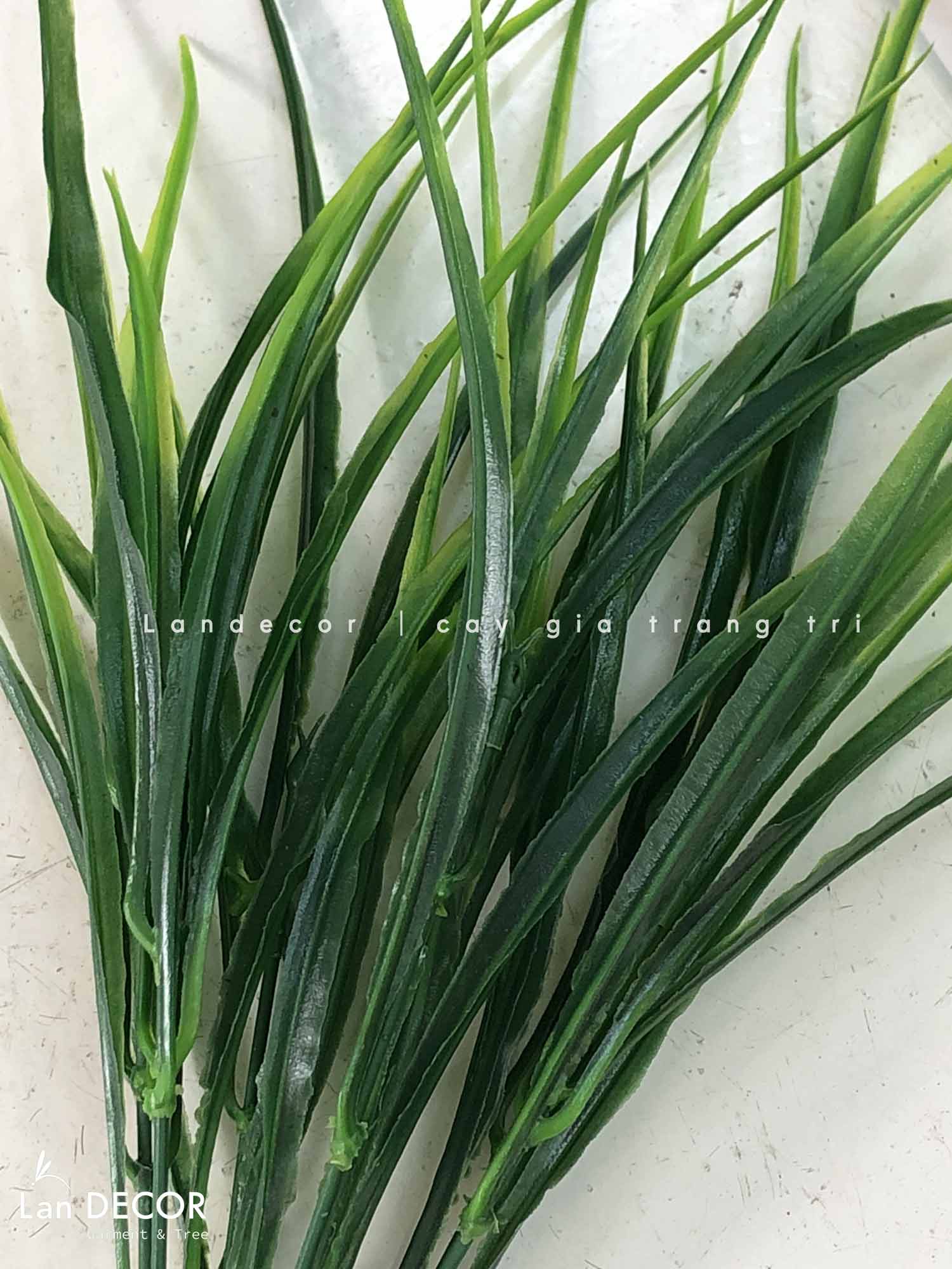 CÀNH CỎ 7 NHÁNH TRANG TRÍ BỒN CÂY TỰ NHIÊN (30cm)- HC1192