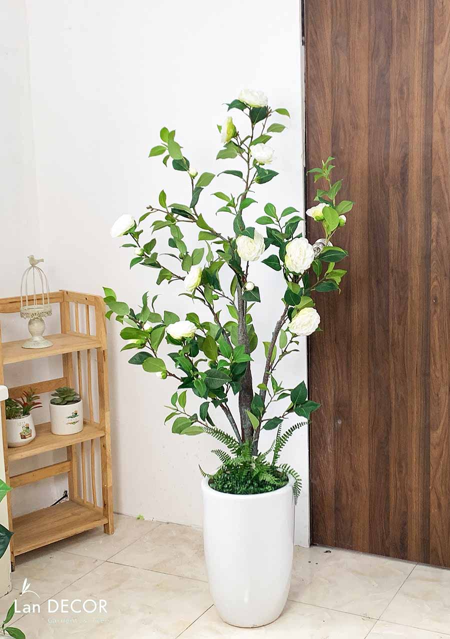 CÂY TRÀ TRẮNG TRANG TRÍ PHONG CÁCH HIỆN ĐẠI (1M4) - LC3012 mix