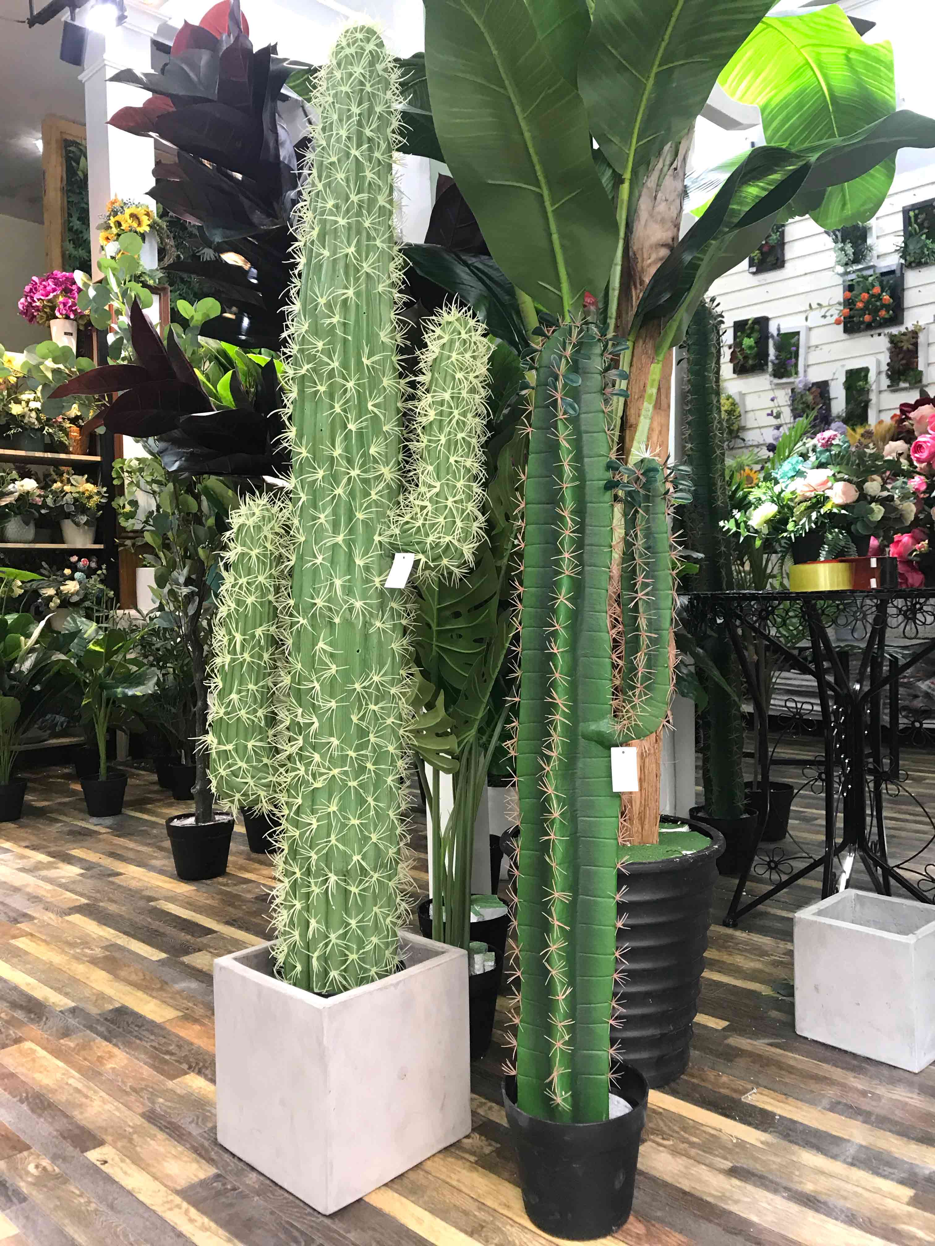 Cây Xương rồng sa mạc trang trí nhà ấn tượng (105cm) - LC2912-1