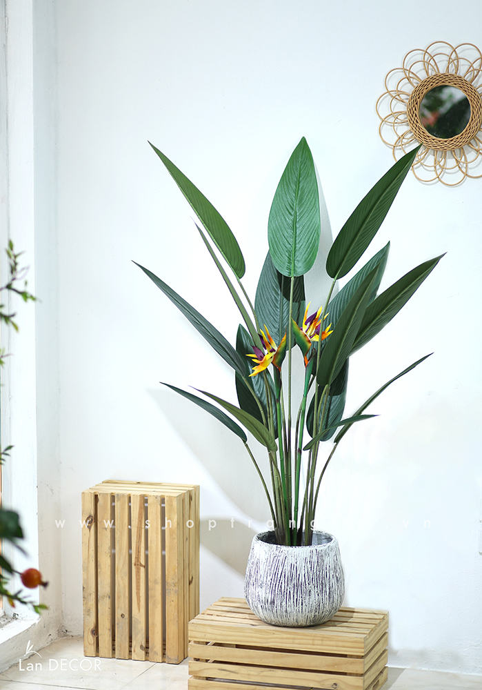 Cây chuối thiên điểu trang trí LanDecor (140cm) - LC3180 mix