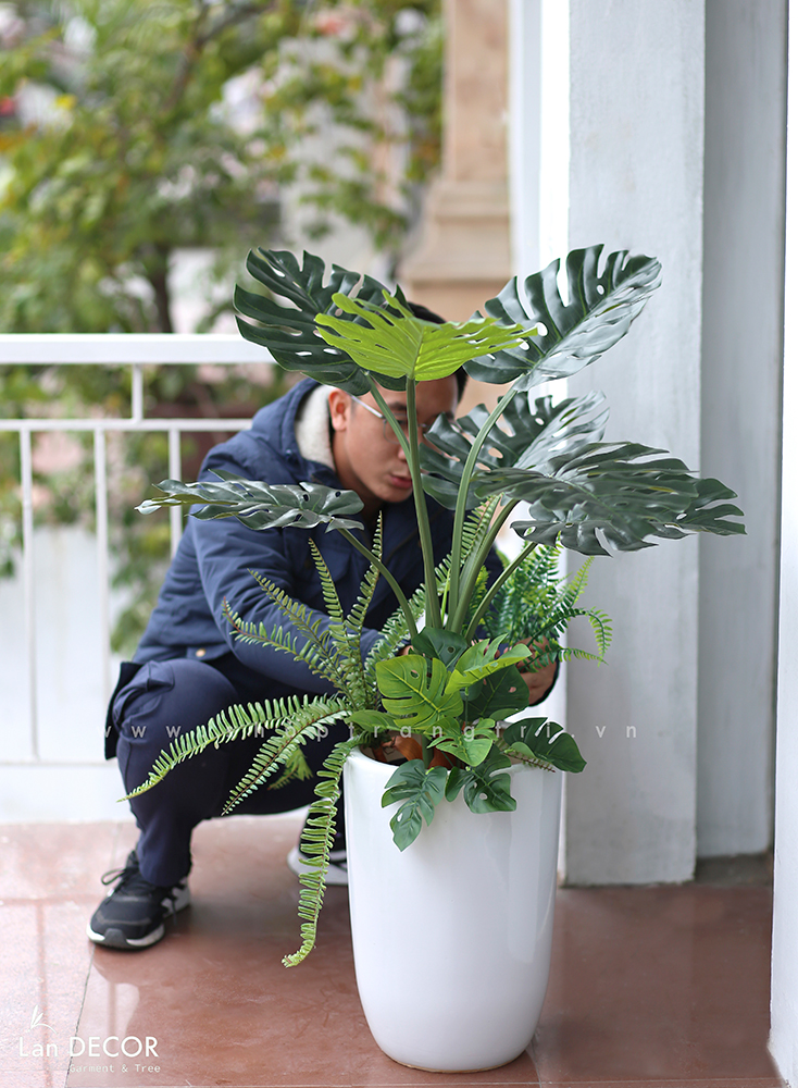 Chậu cây Monstera trang trí tiểu cảnh nhà Landecor (85cm) - LC3057 Mix