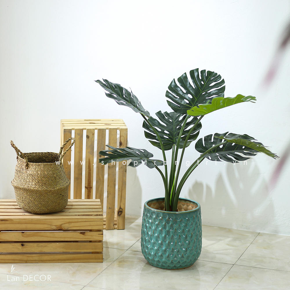 Cây Giả Decor - Cây Monstera Trang Trí Nhà Đẹp Landecor (85cm) - LC3057