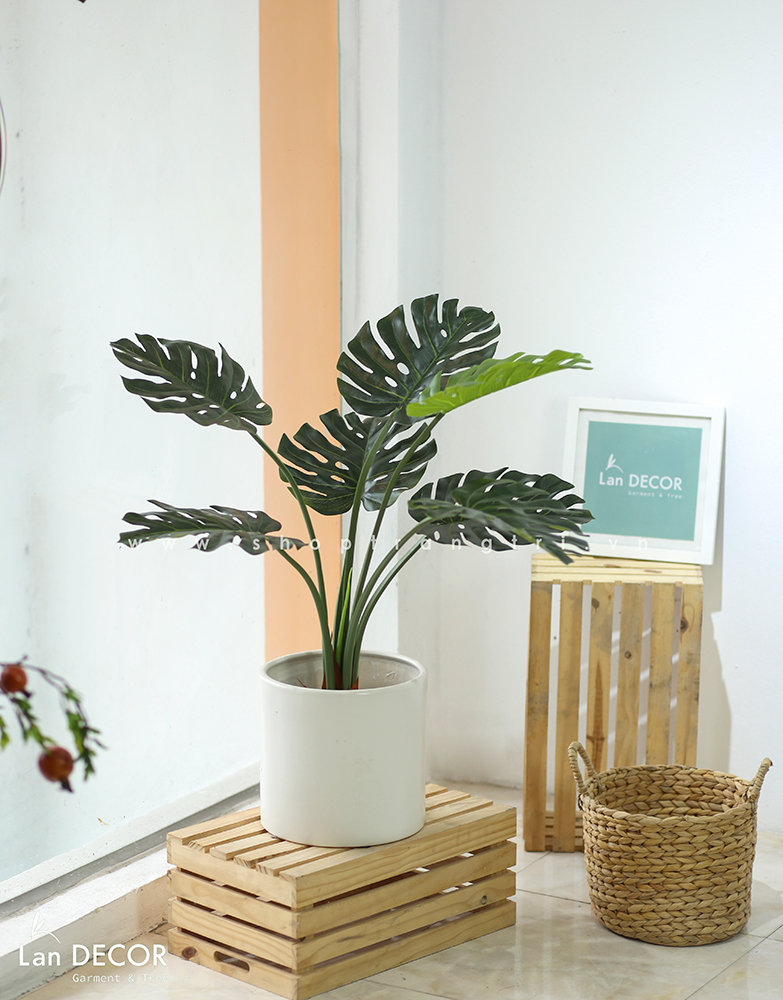 Cây Giả Decor - Cây Monstera Trang Trí Nhà Đẹp Landecor (85cm) - LC3057