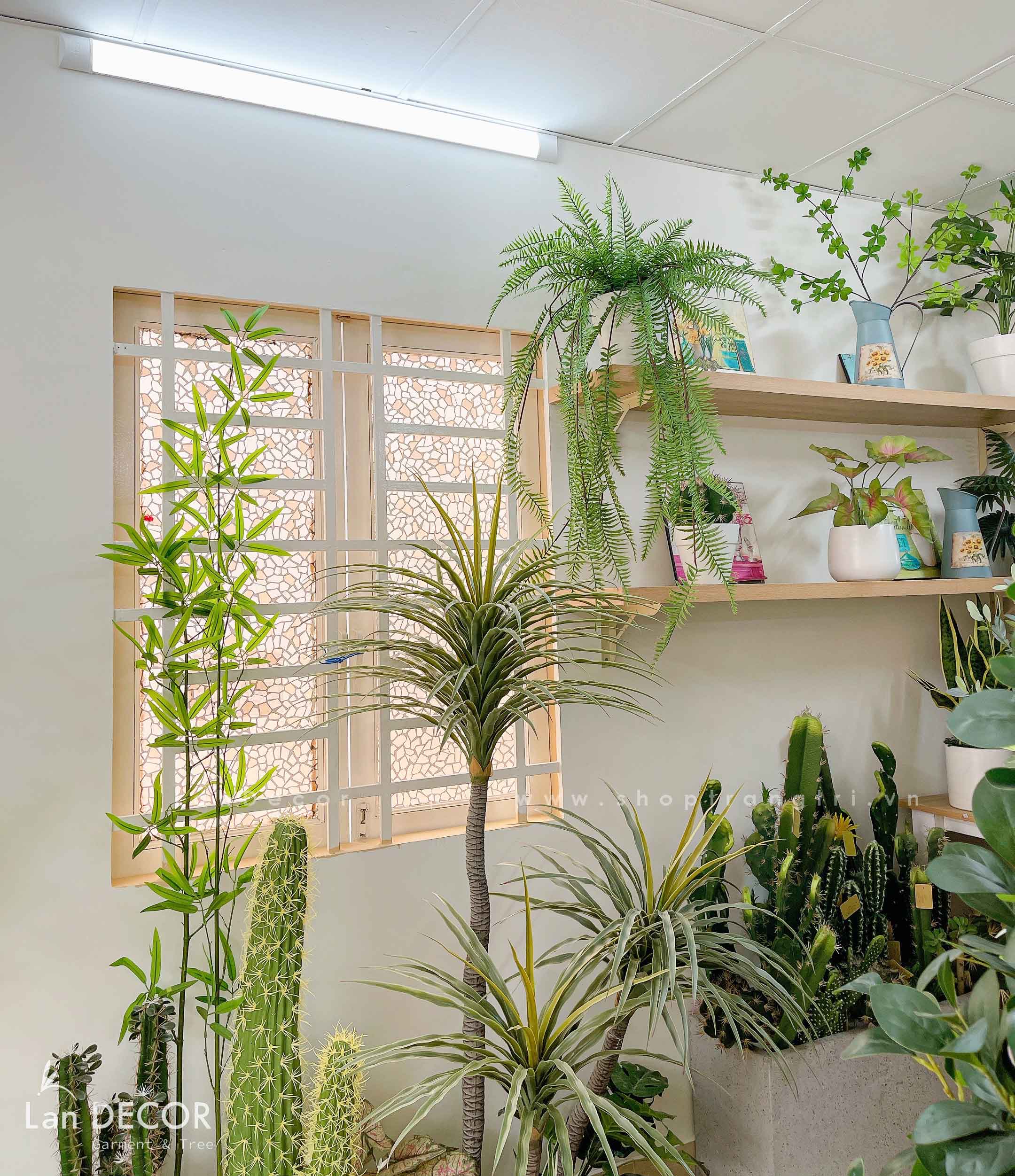 TIỂU CẢNH TRANG TRÍ CỬA HÀNG, CỬA TIỆM - TC2023-1